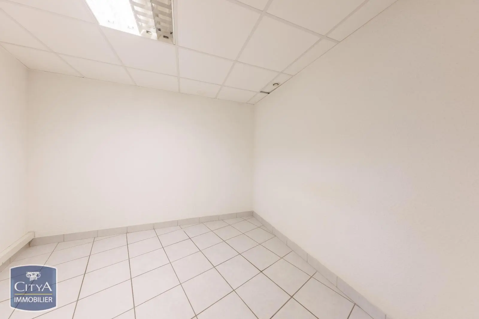 Photo 6 Local Professionnel