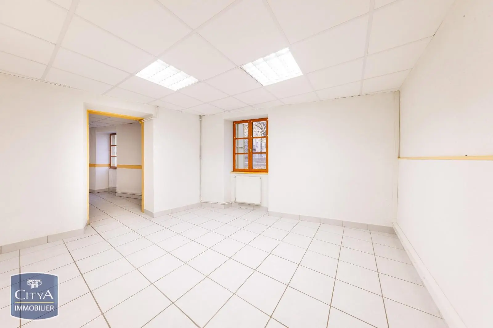 Photo 1 Local Professionnel