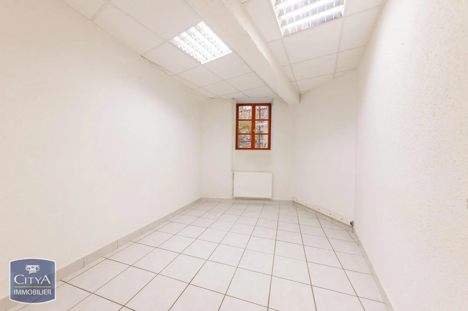 Photo 7 Local Professionnel