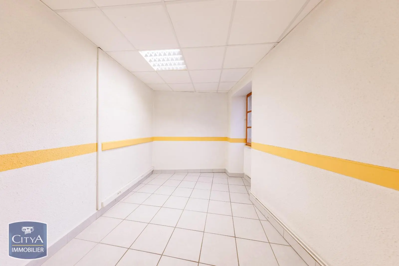 Photo 4 Local Professionnel