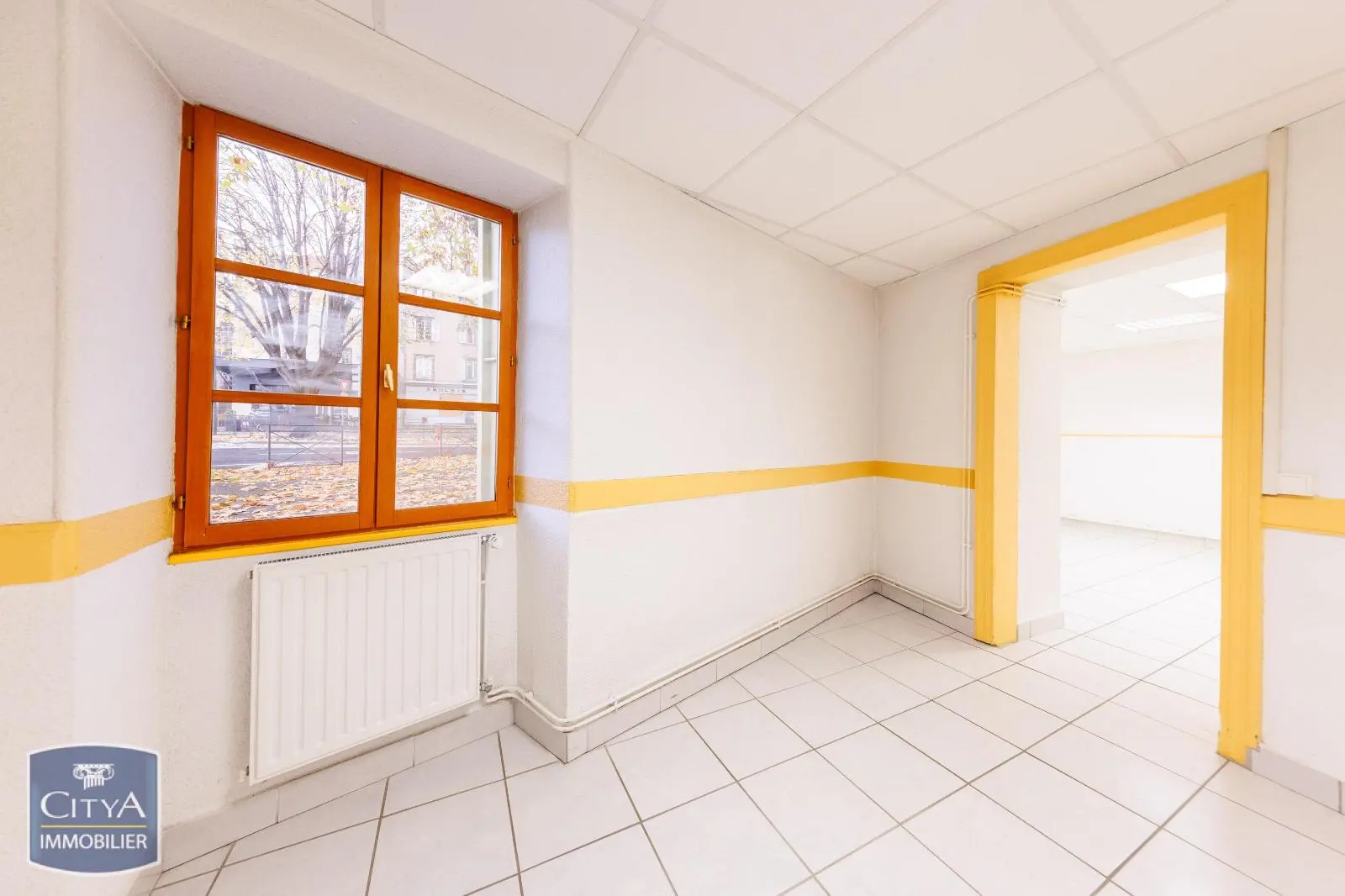 Photo 3 Local Professionnel