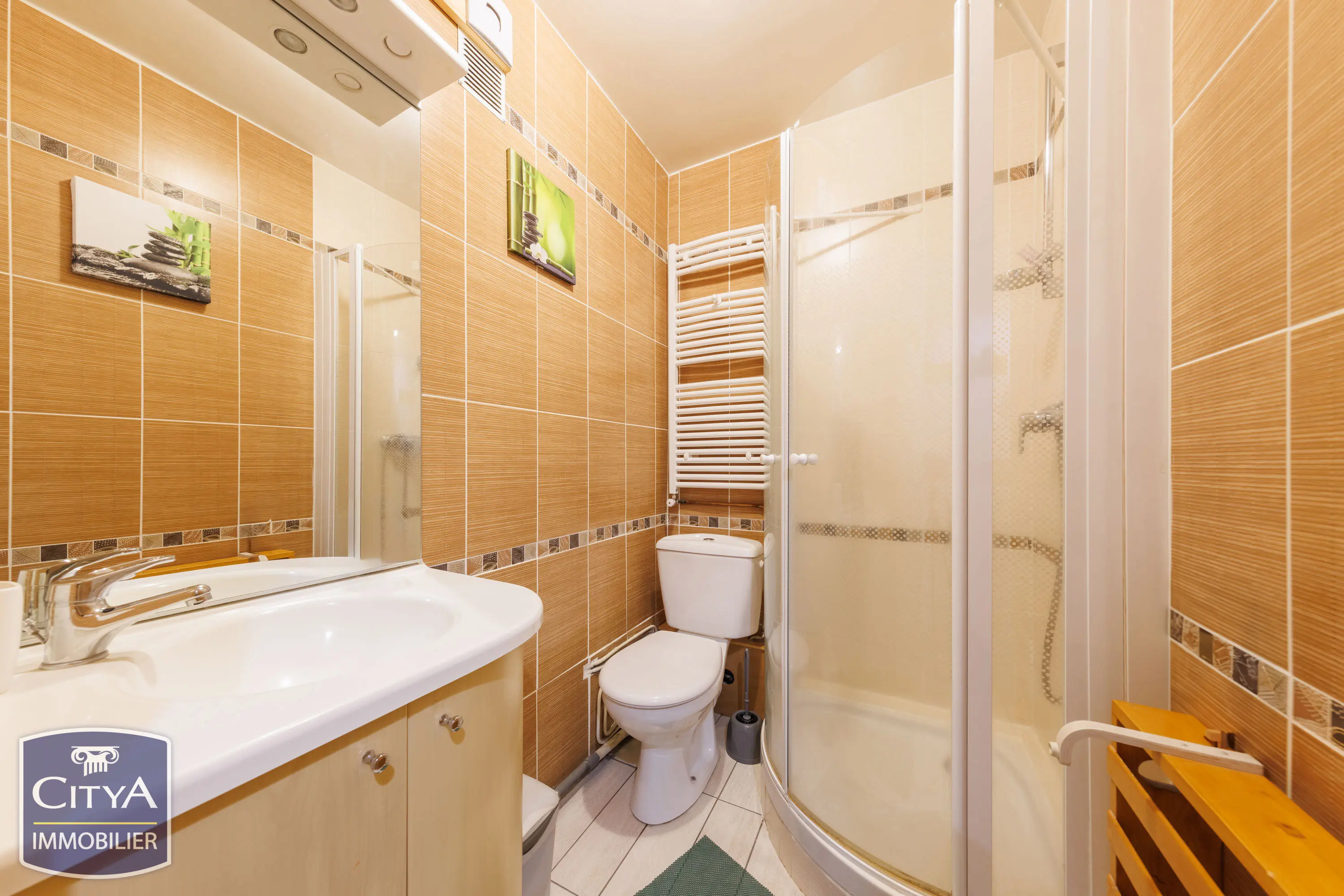 Photo 7 appartement Besse-et-Saint-Anastaise
