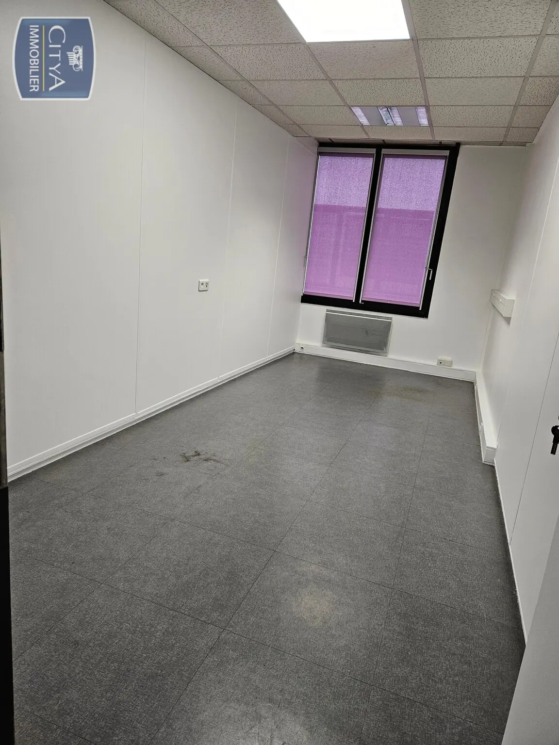 Photo 5 Local Commercial 302m²