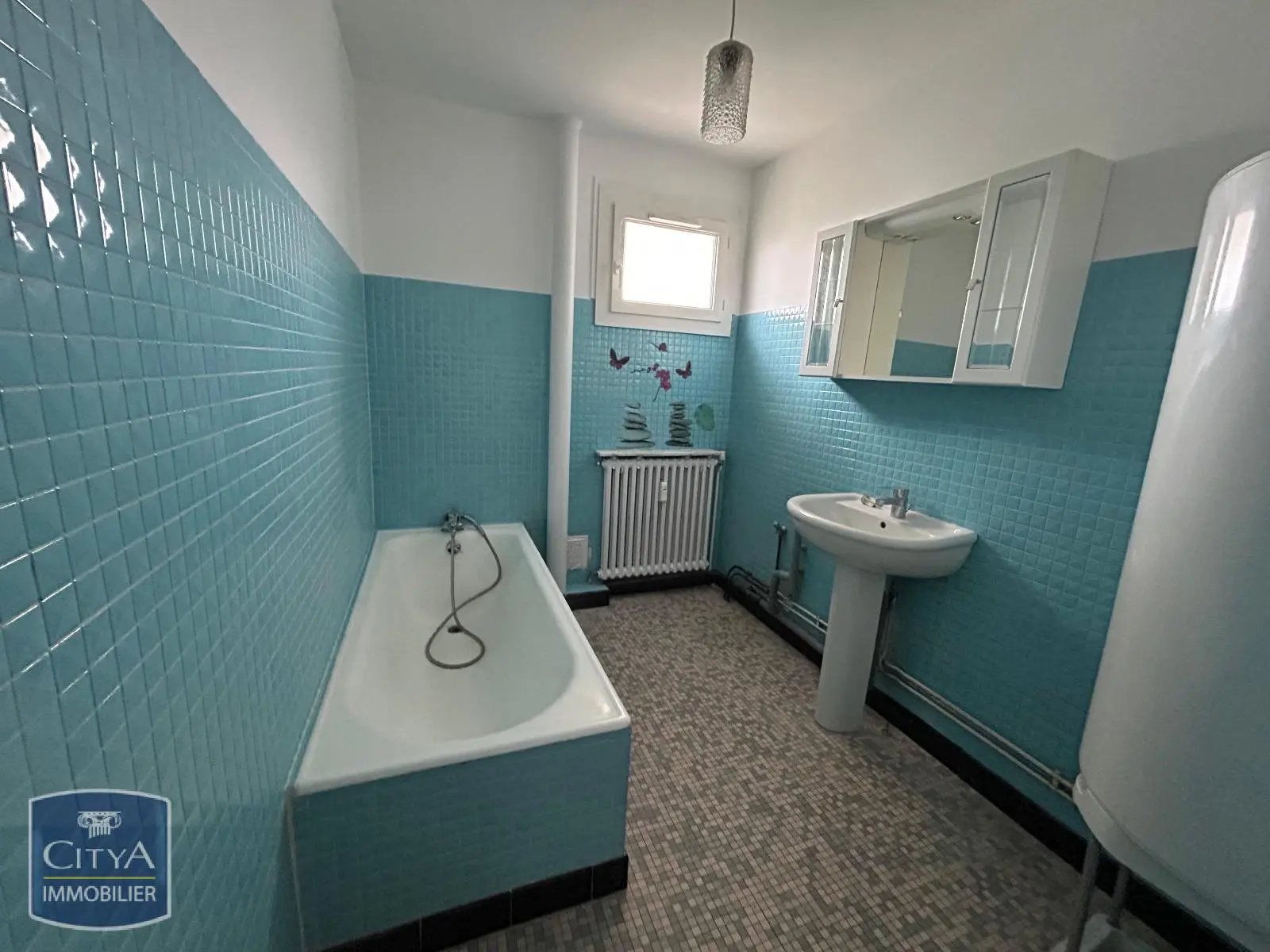 Photo 9 appartement Oyonnax