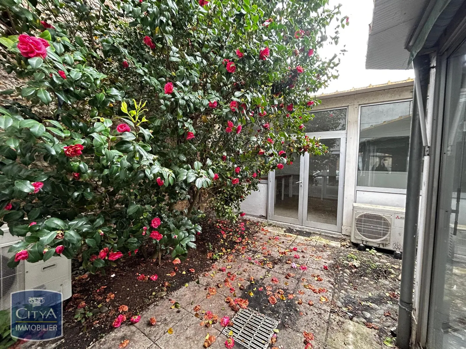 Photo 7 Local Commercial