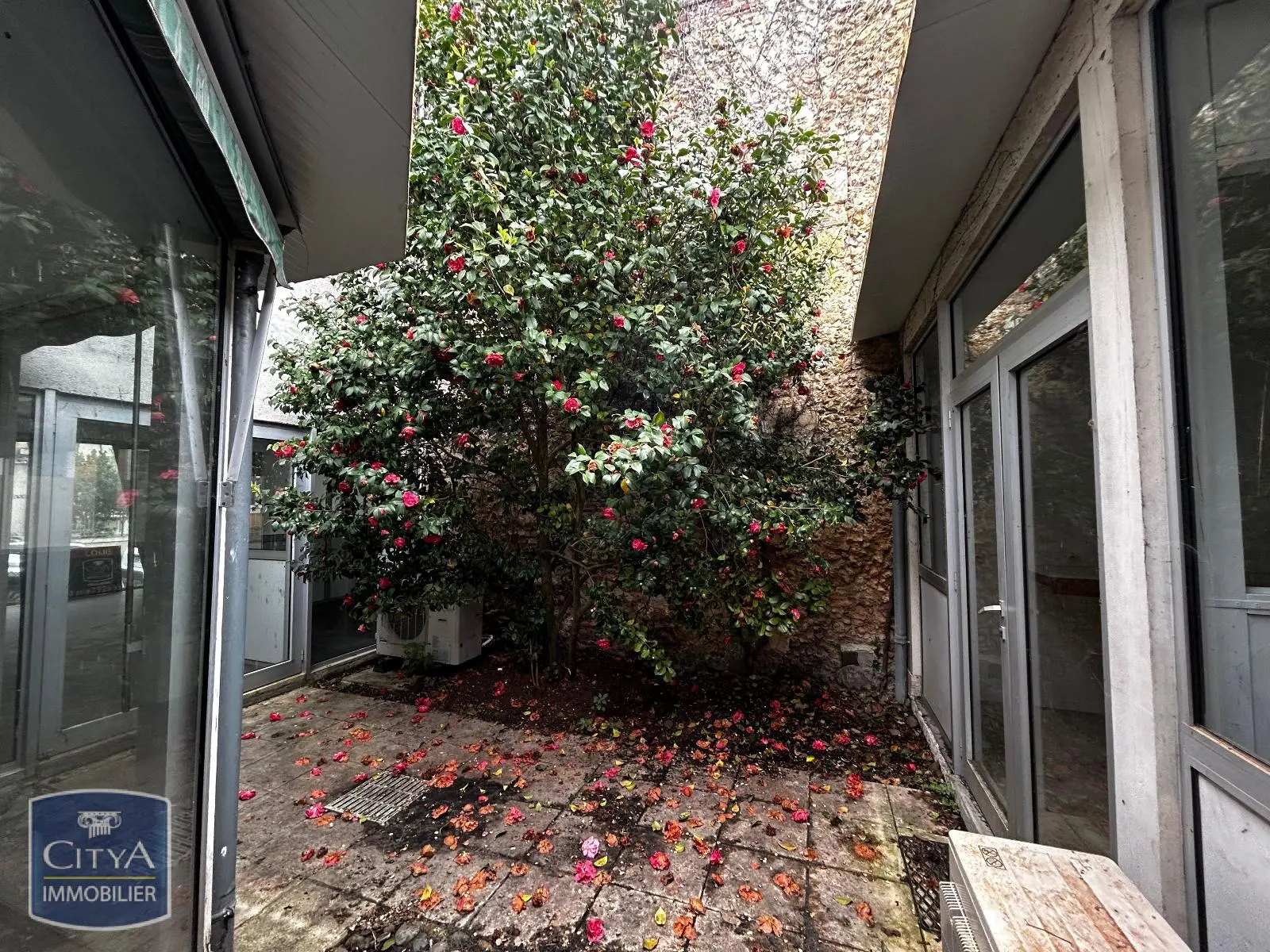 Photo 8 Local Commercial