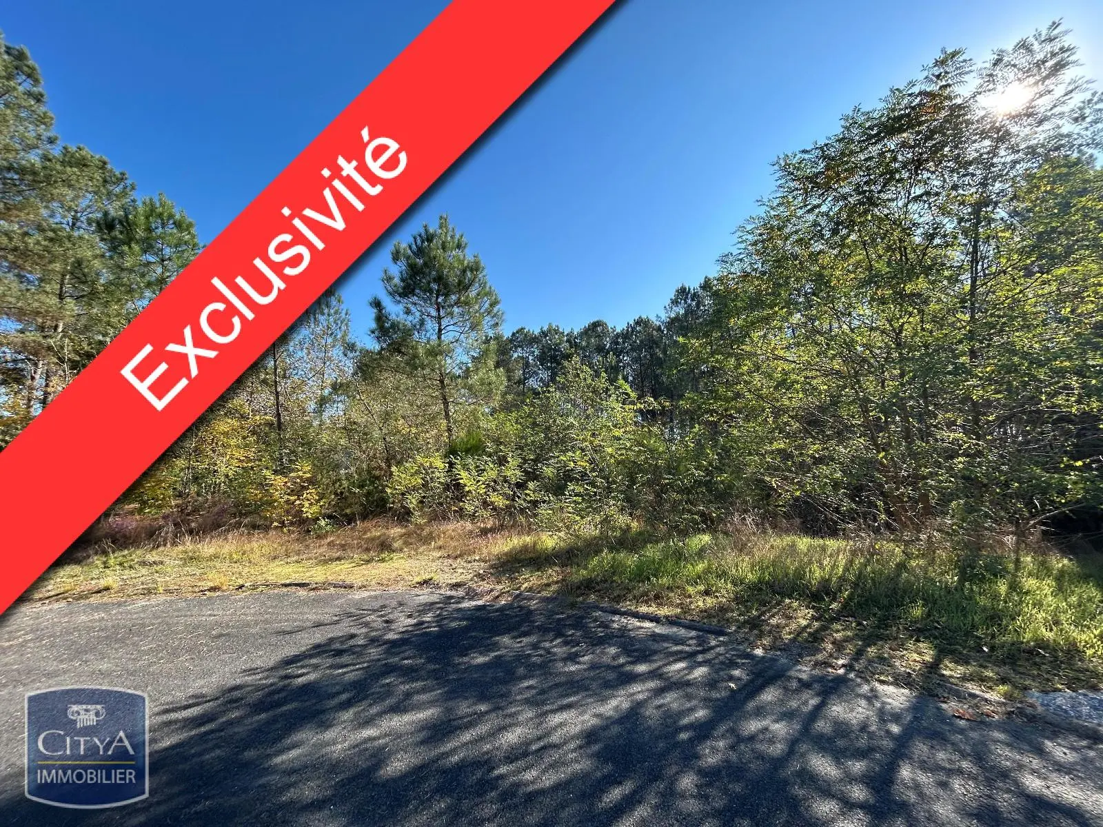 Photo 1 Terrain 1616m²