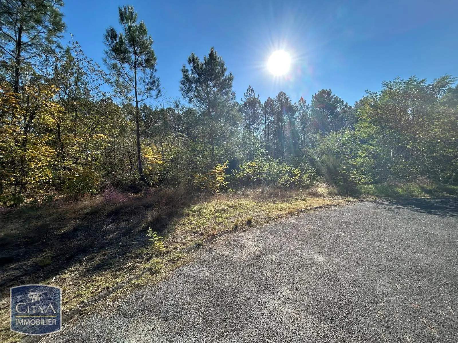 Photo 2 Terrain 1616m²