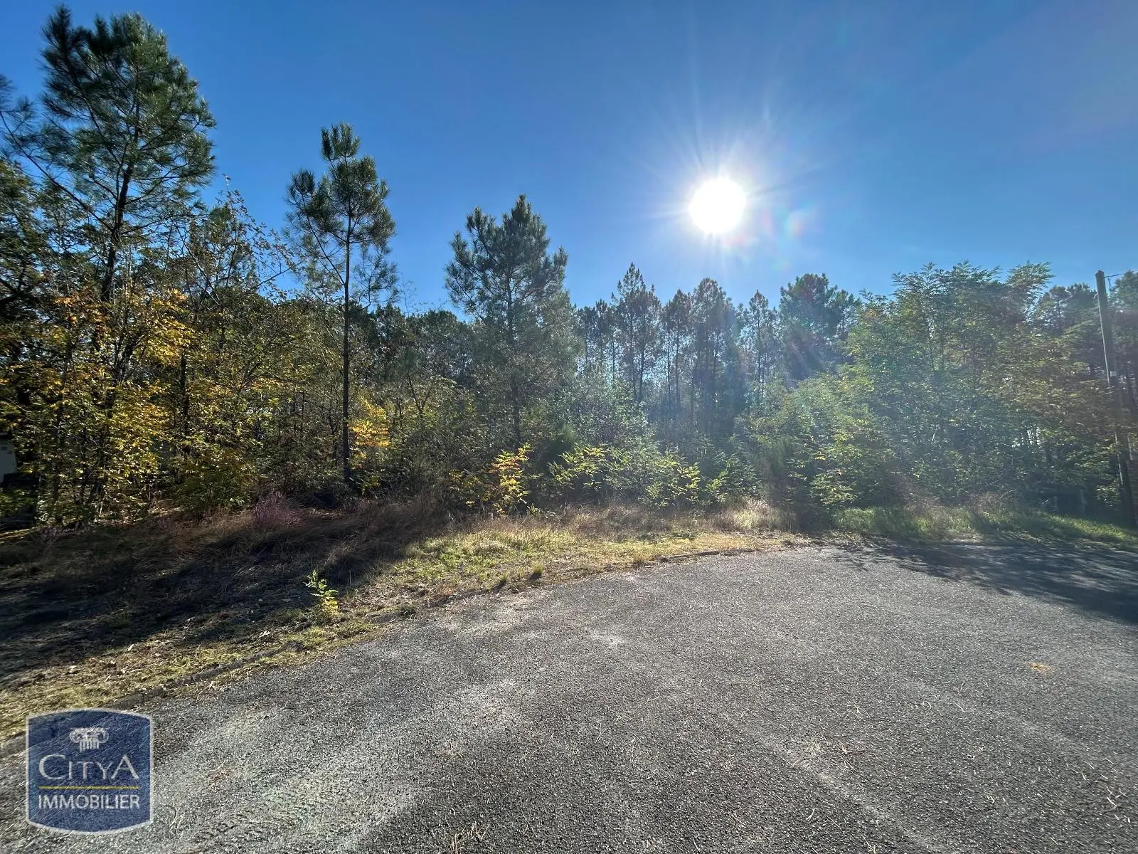 Photo 3 Terrain 1616m²