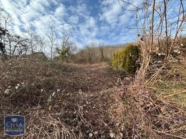 Photo 1 Terrain