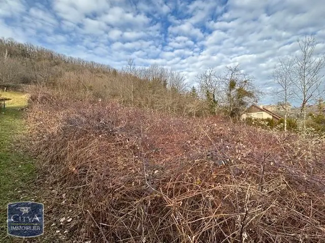 Photo 4 Terrain