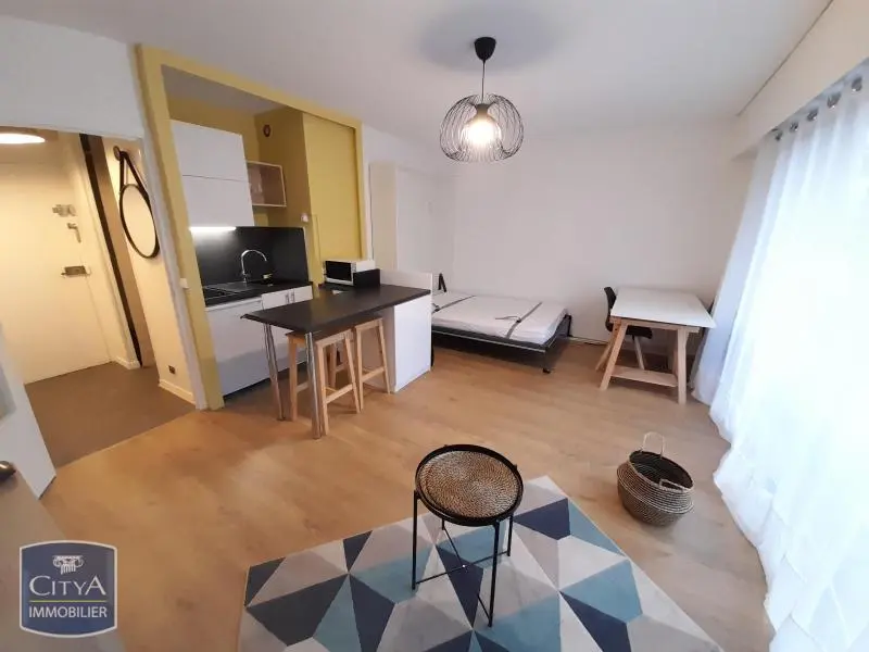 Photo 1 Appartement 1 pièce 30.28m²