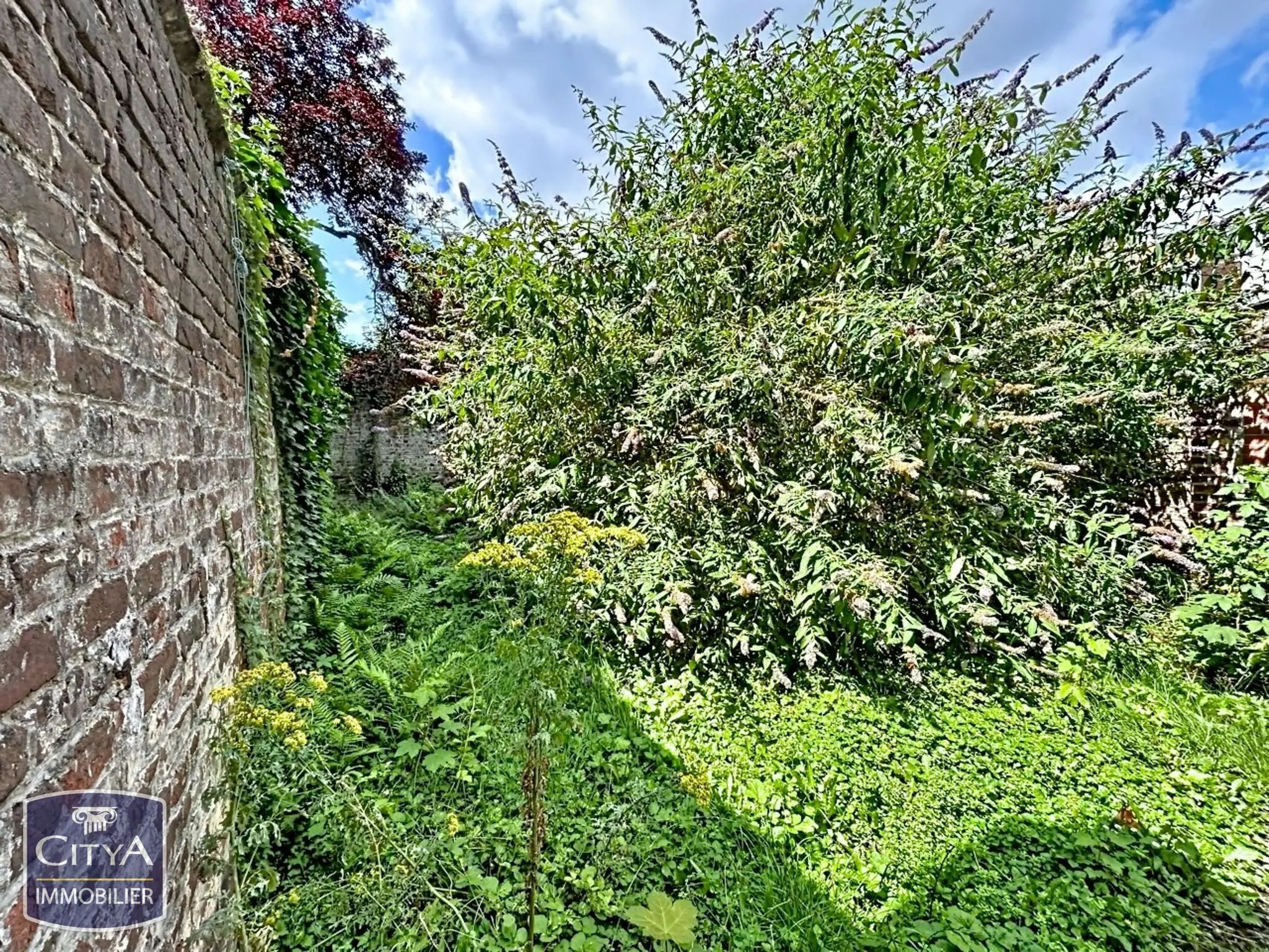 Photo 2 appartement Lille