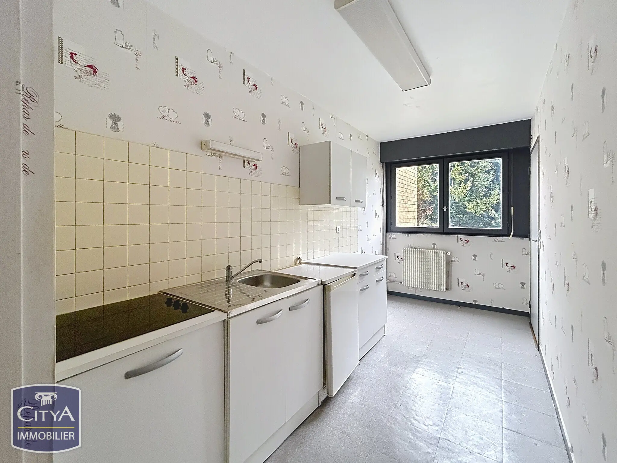 Photo 3 Appartement 1 pièce 43.01m²