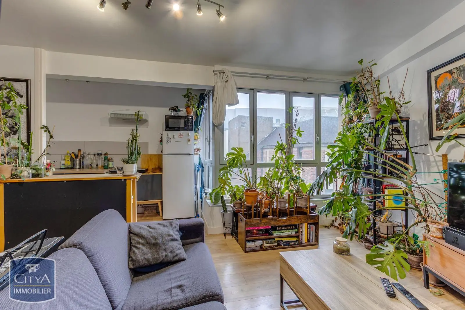 Photo 1 appartement Lille