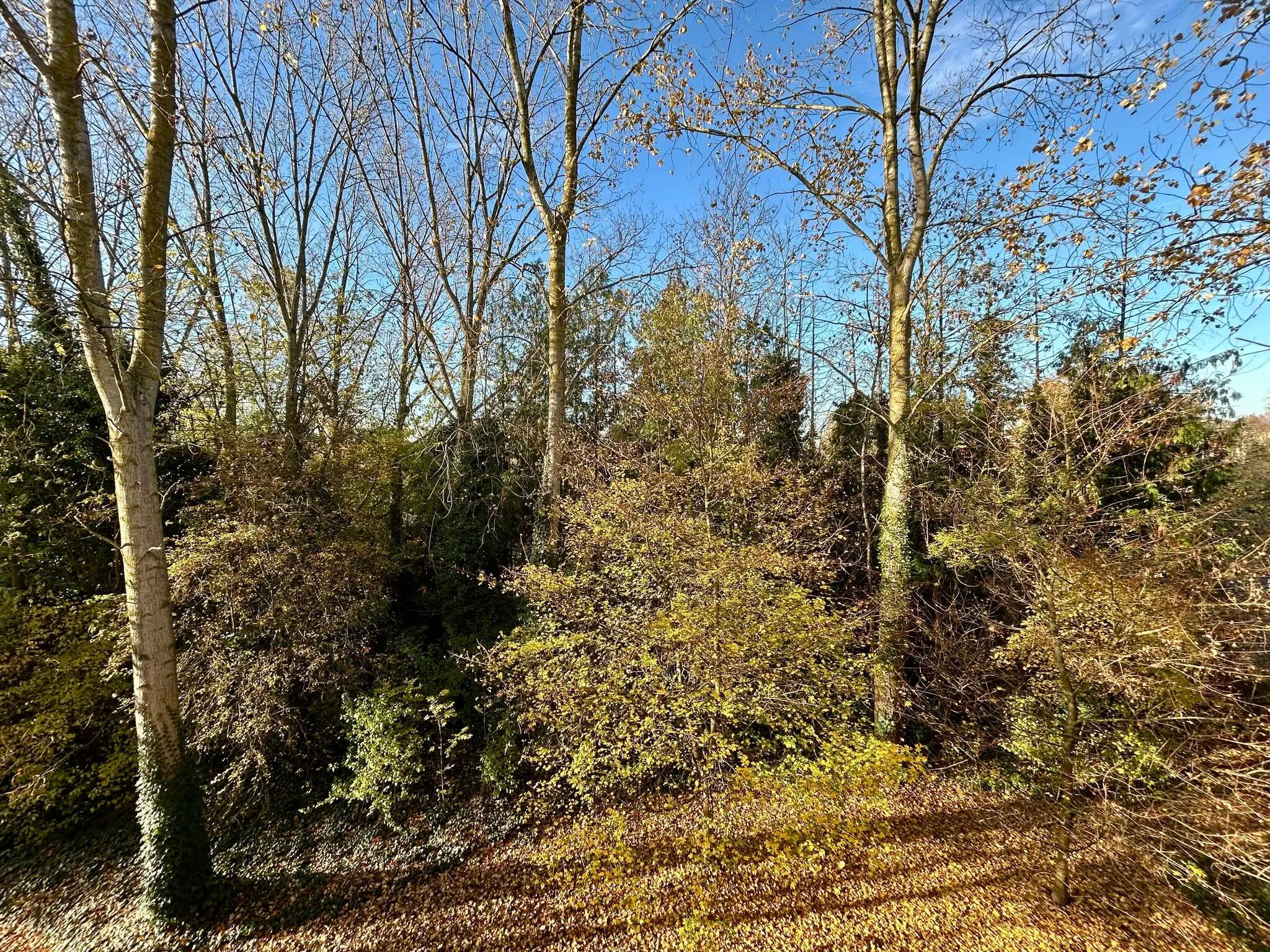 Photo 4 Appartement 3 pièces 66.64m²