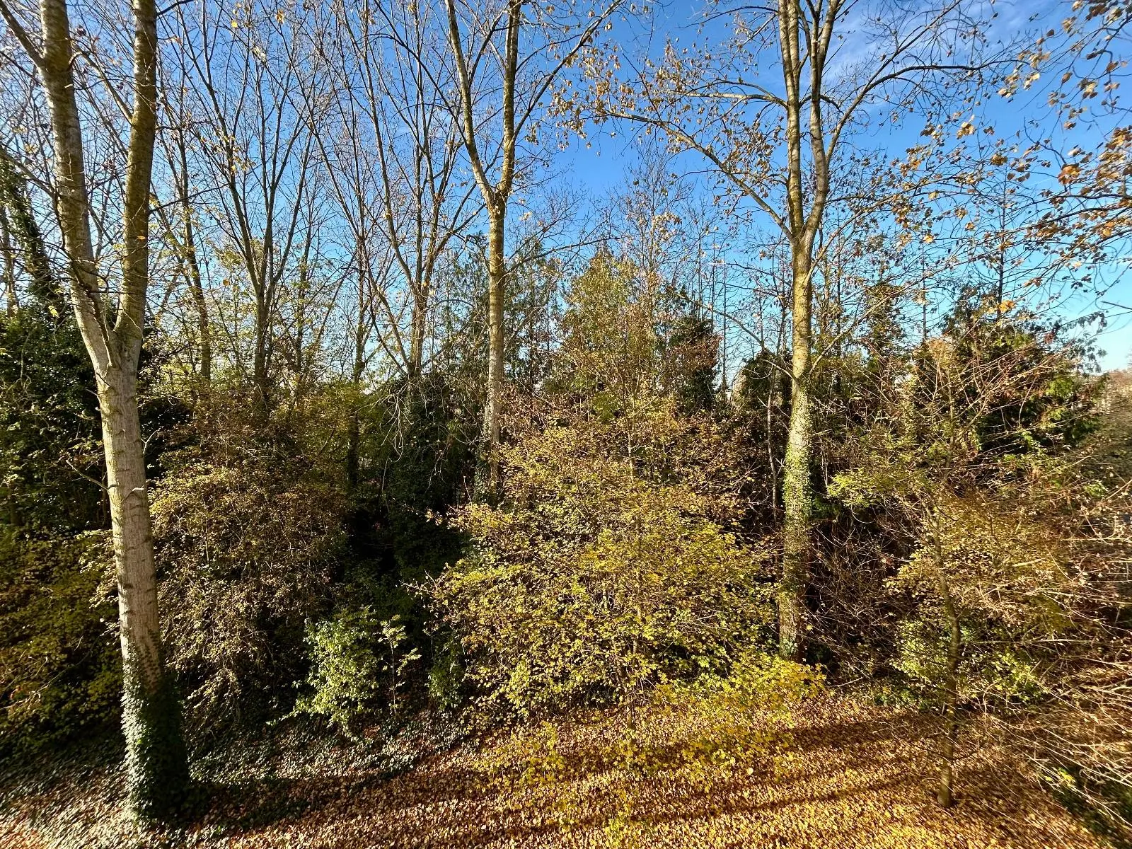 Photo 3 appartement Saint-André-lez-Lille