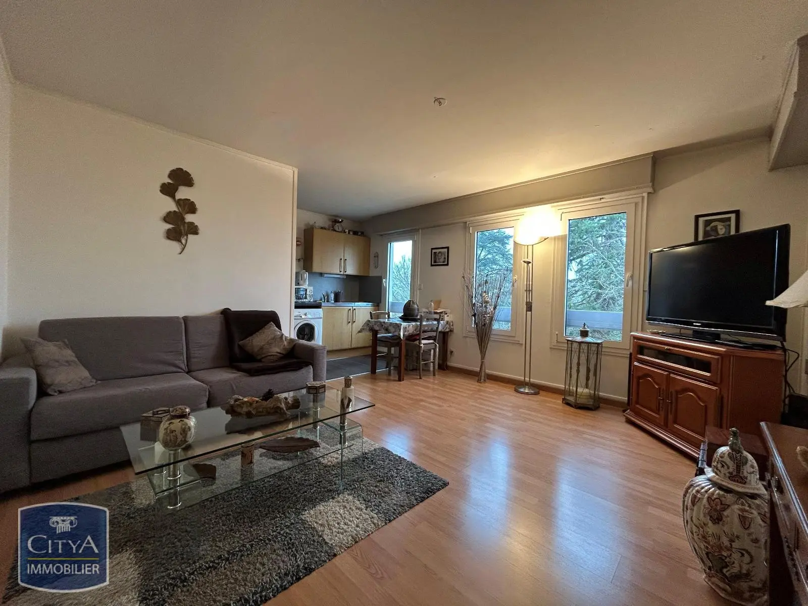 Photo 1 Appartement 1 pièce 32.23m²