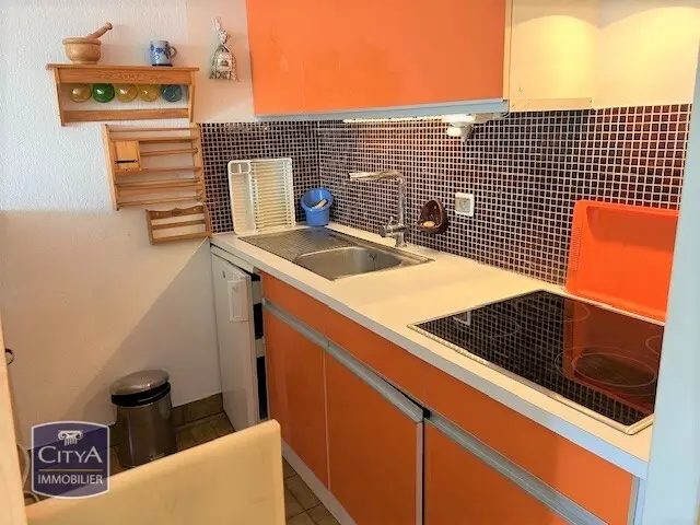 Photo 4 Appartement 1 pièce 24.35m²