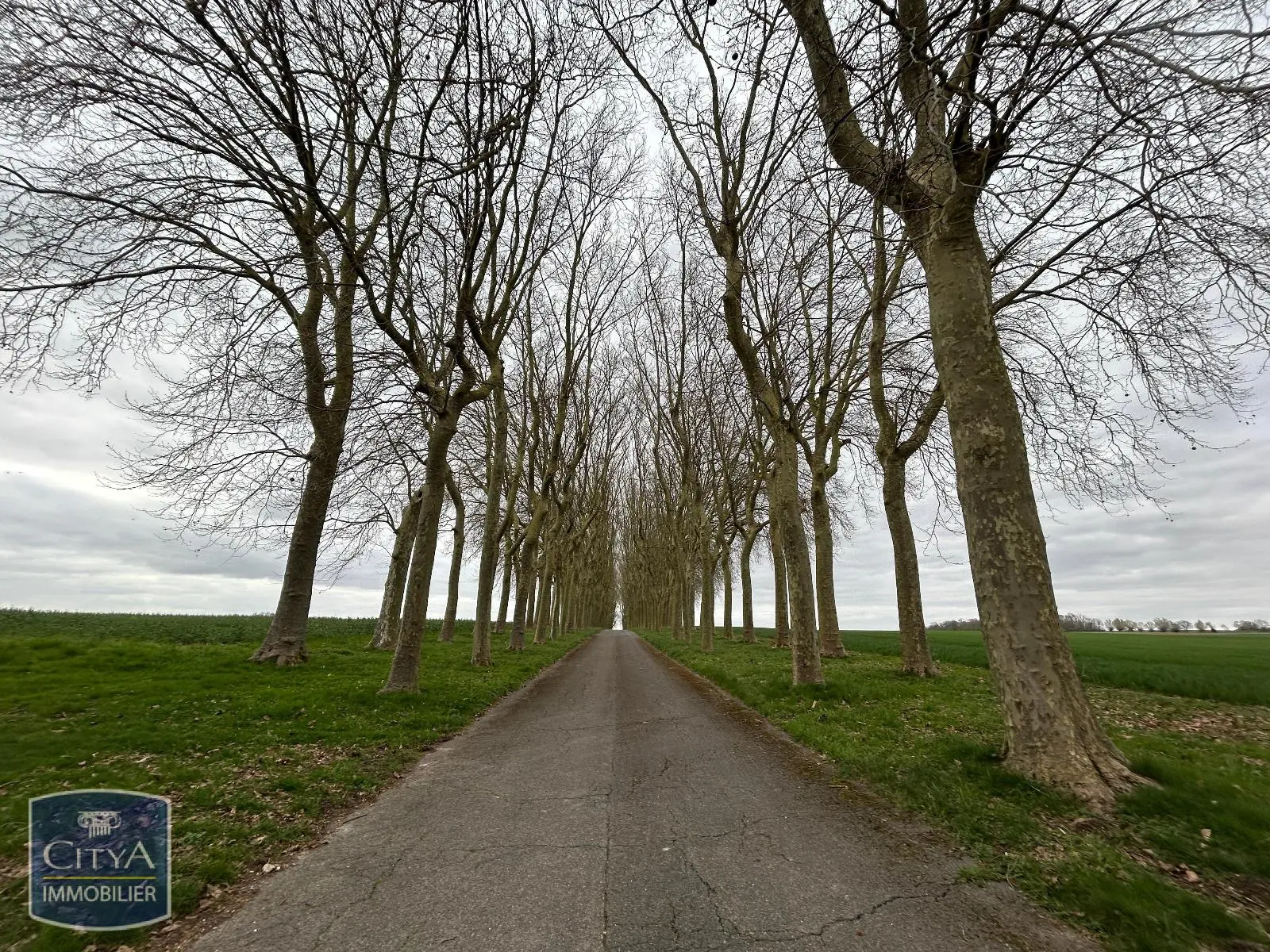 Photo 24 Appartement 2 pièces 55.18m²