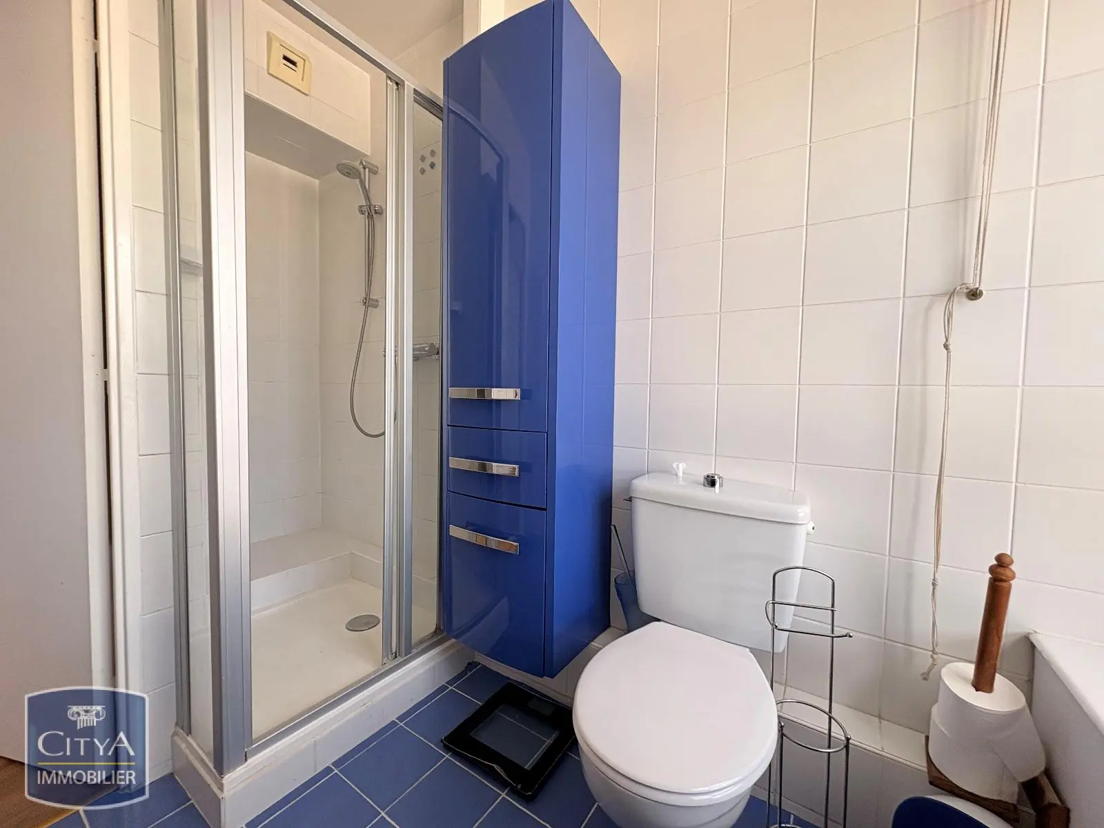 Photo 14 appartement Paris 15e Arrondissement