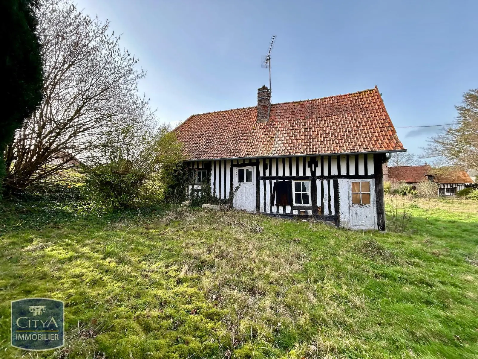 Photo 11 Terrain 5319m²