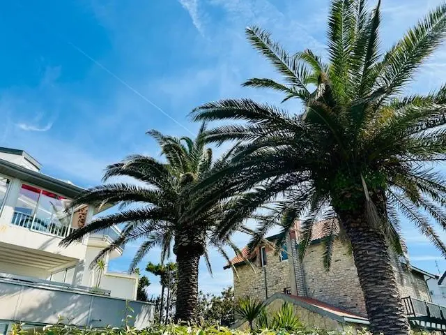 Photo 1 Appartement 34m²
