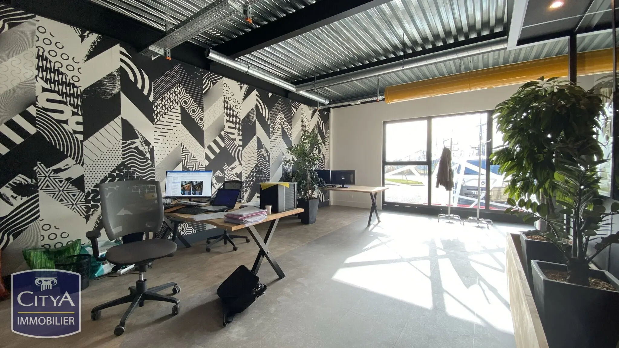 Photo 2 Local Professionnel 371m²