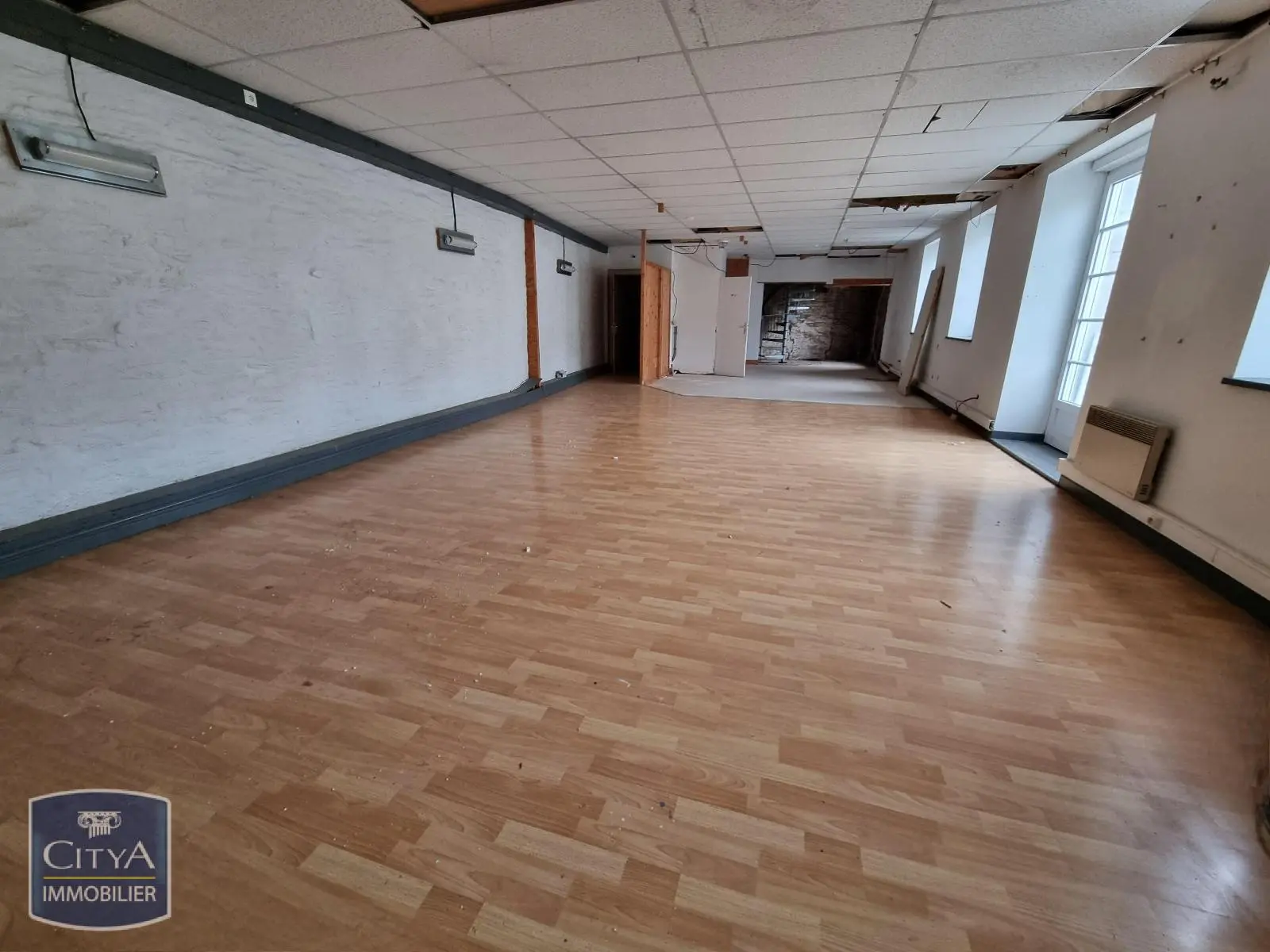 Photo 1 Local Professionnel