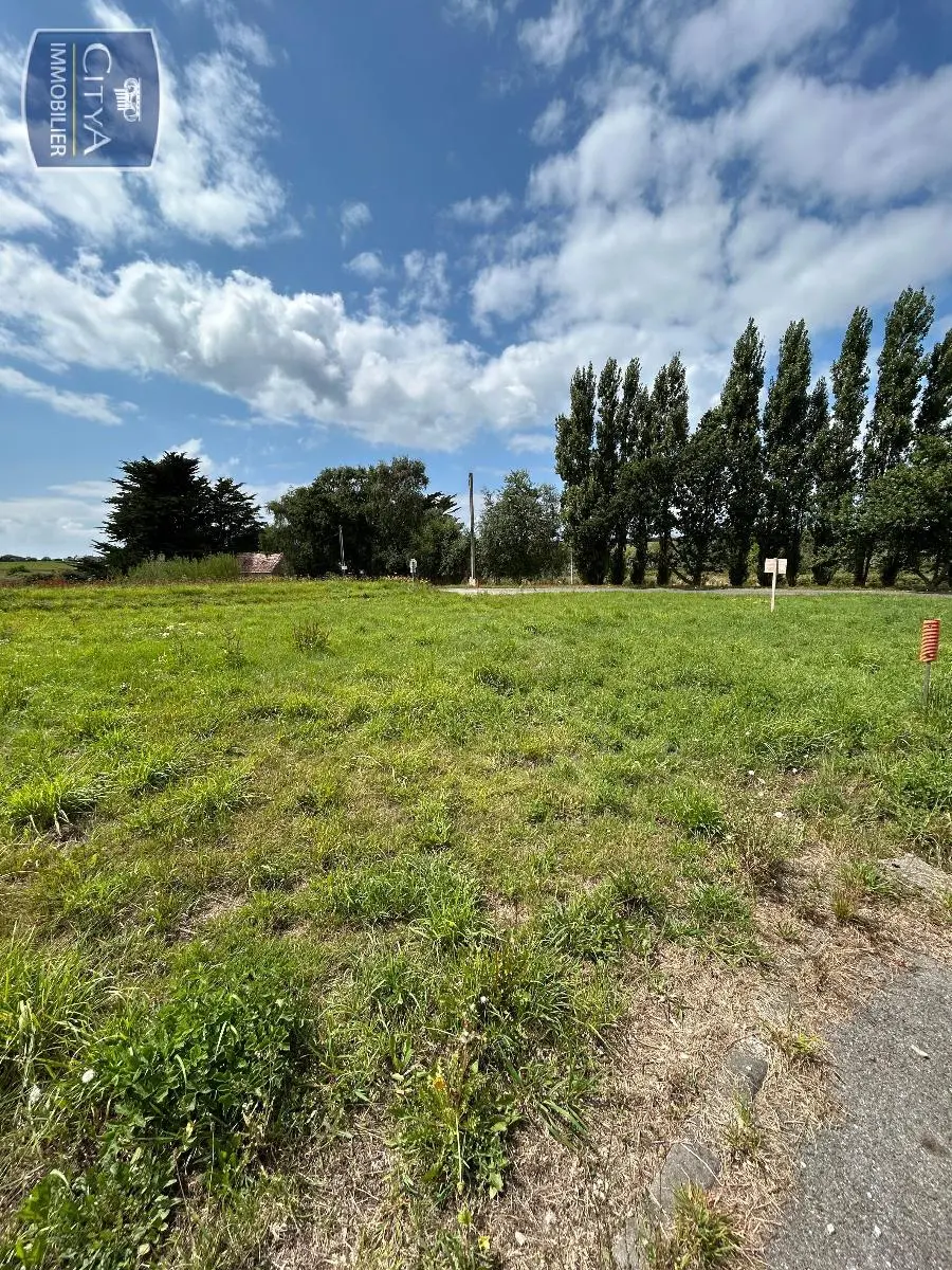 Photo 2 Terrain