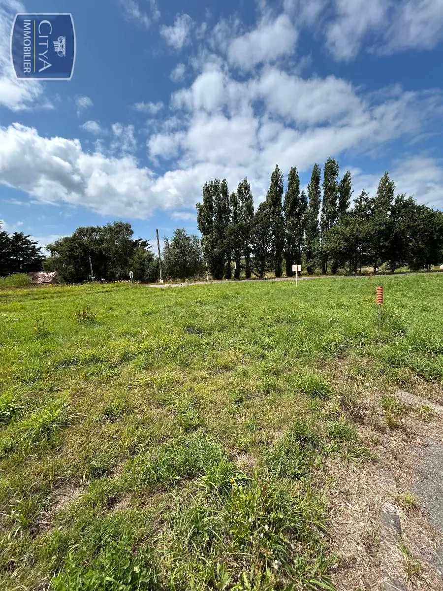 Photo 4 Terrain