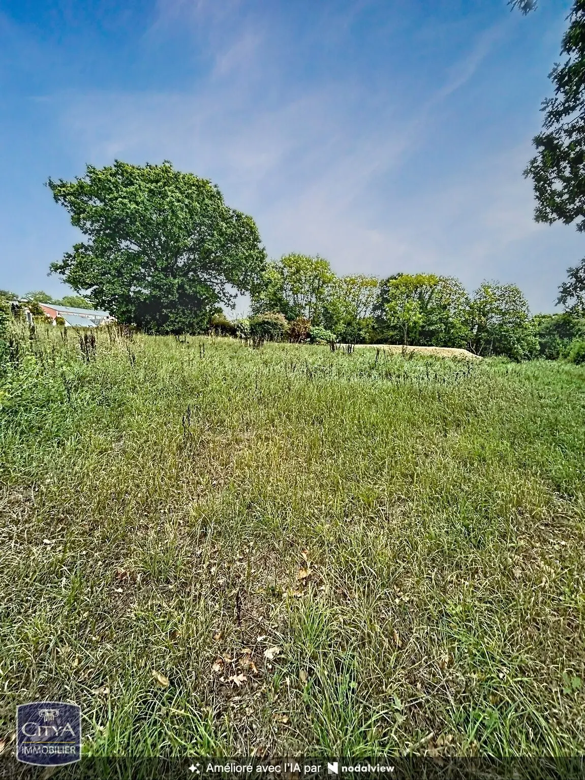 Photo 4 Terrain