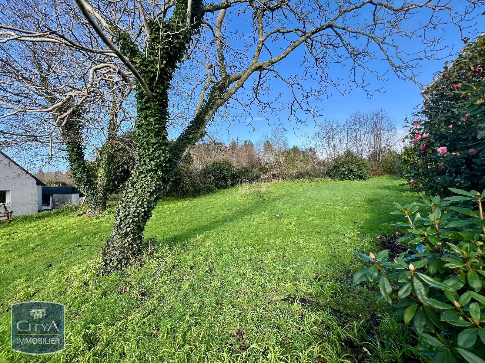 Photo 3 Terrain 697m²