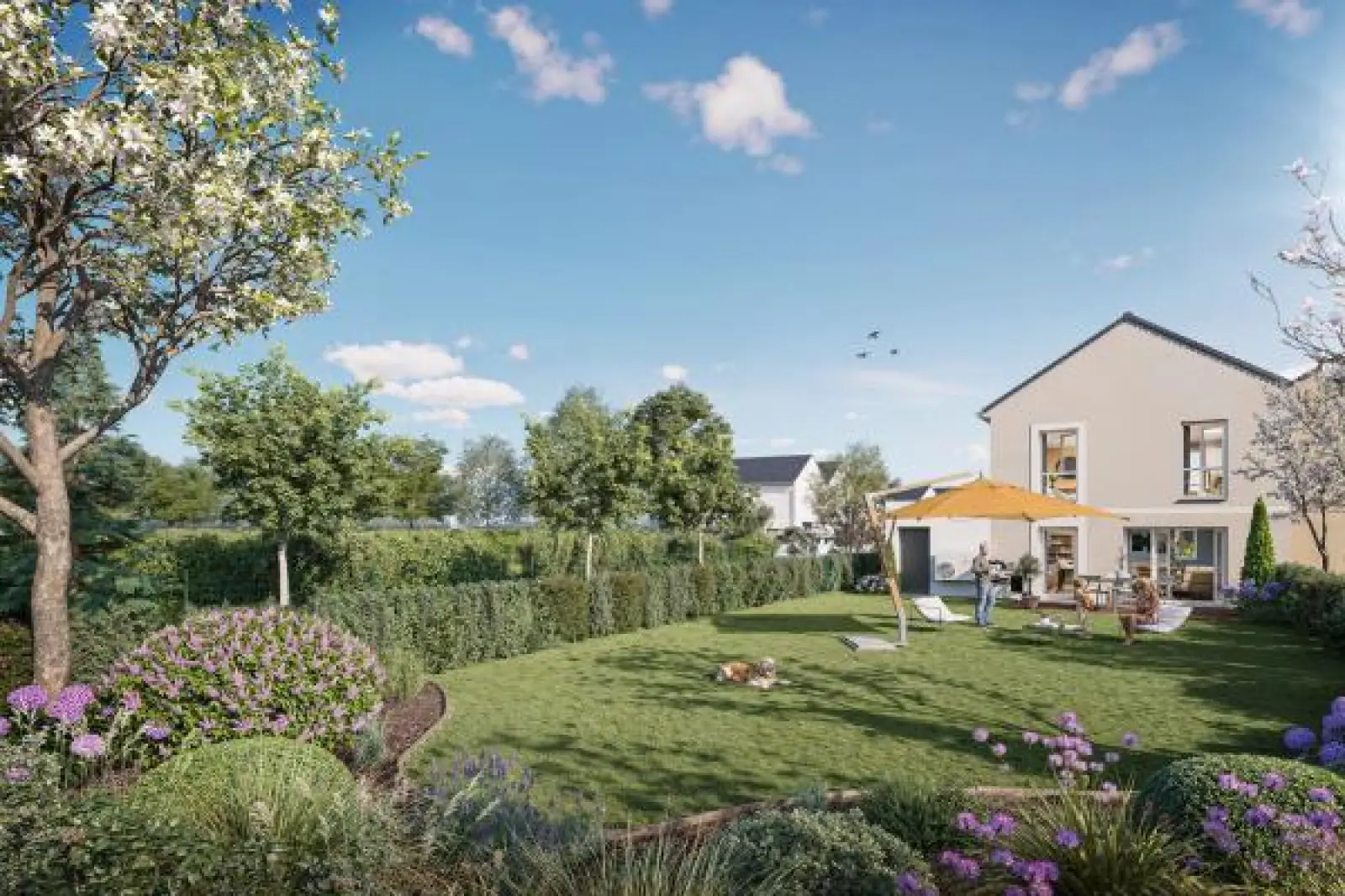 Perspective du programme PERS_46-1081.webp