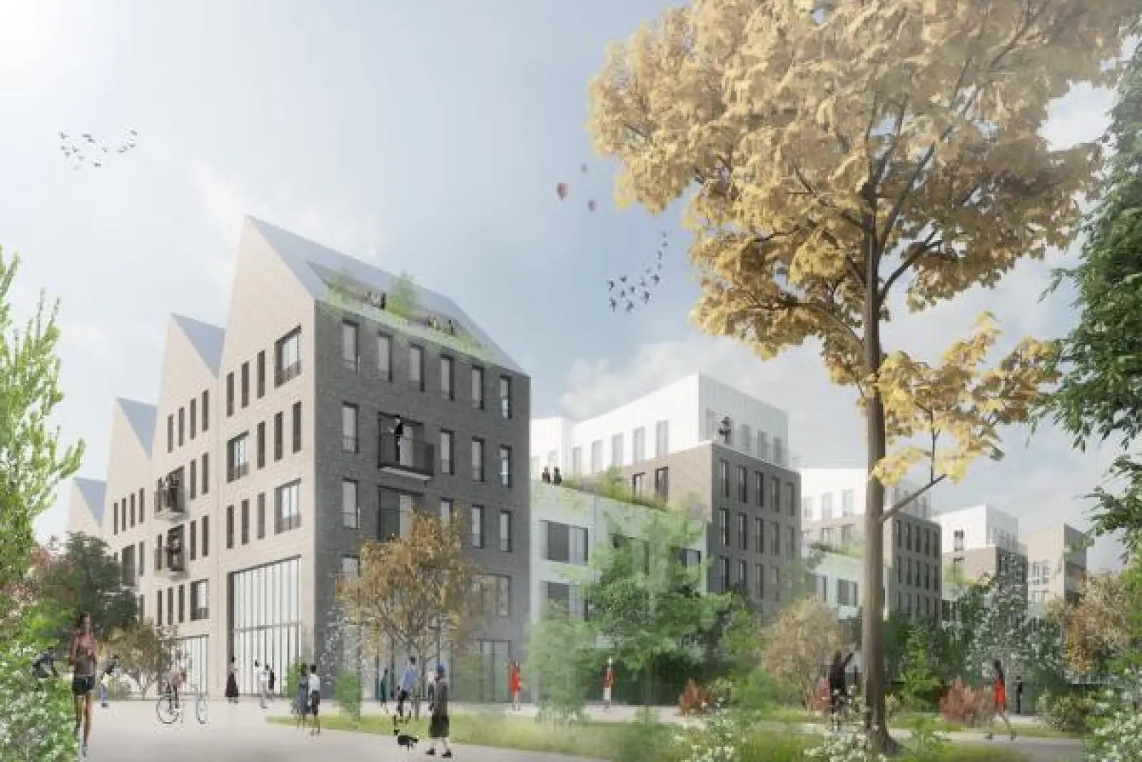 Perspective du programme PERS_67-1259012021.webp