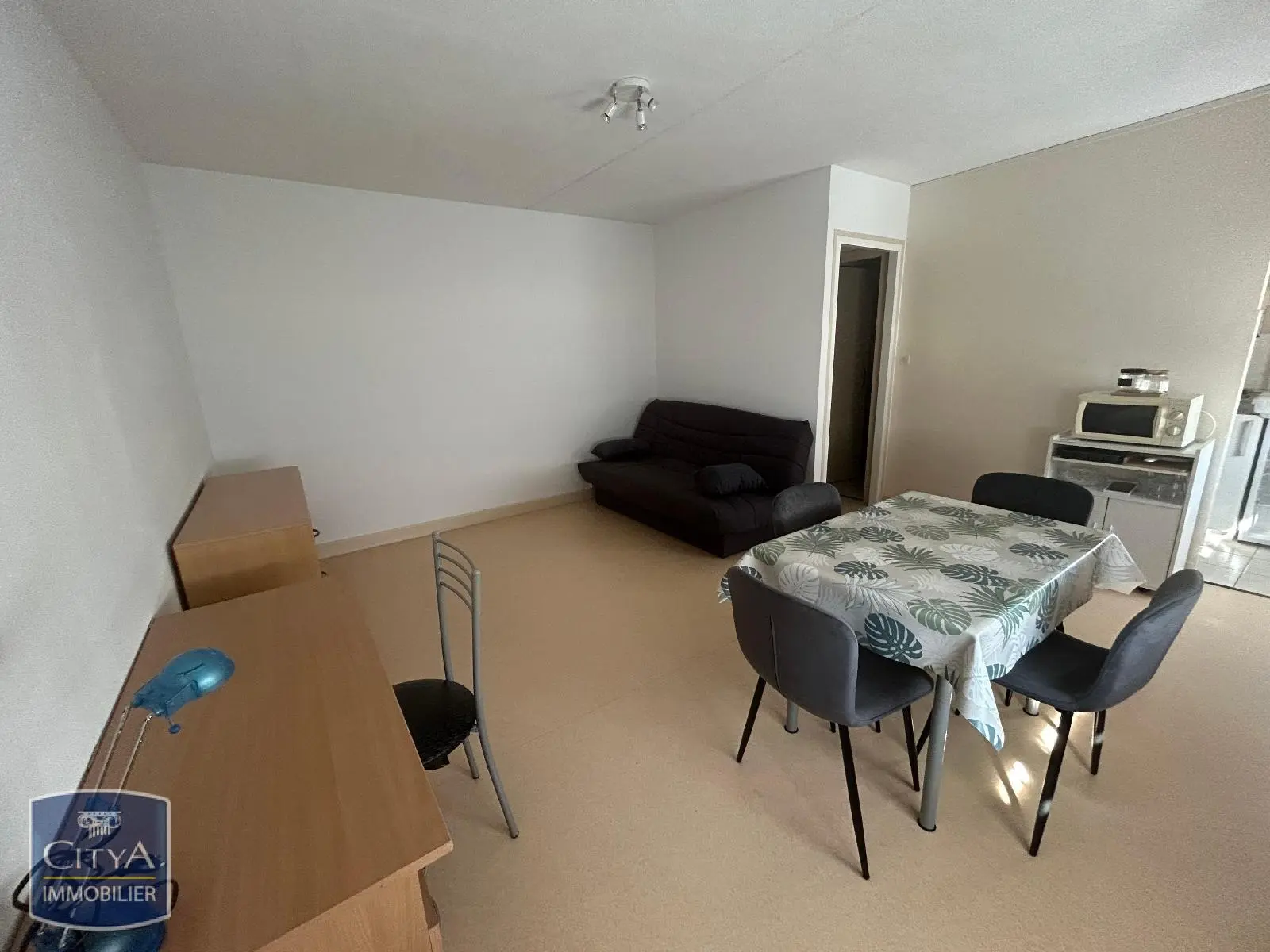 Photo 2 Appartement 1 pièce 25.98m²