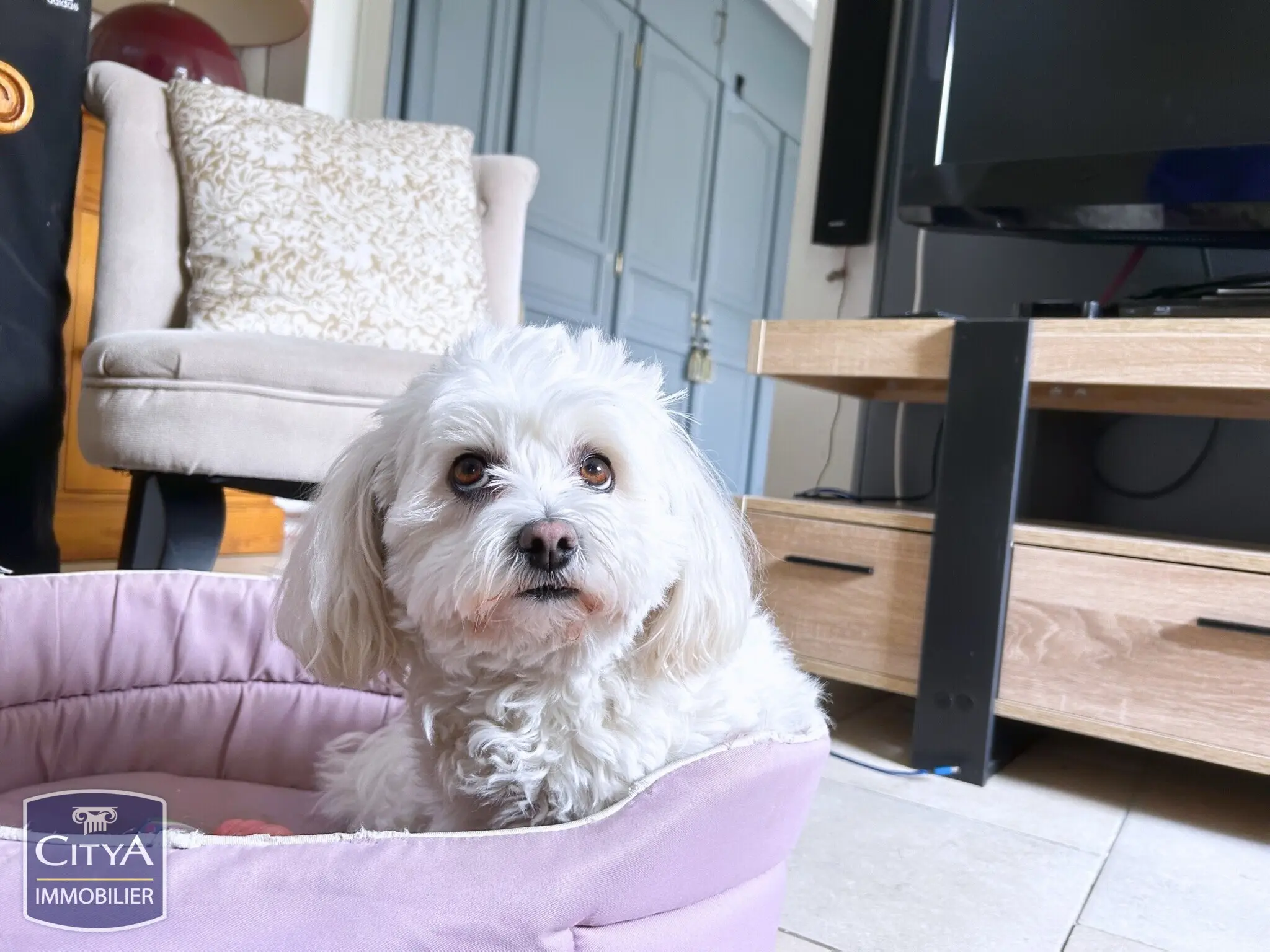 Photo 22 Maison 5 pièces 150.91m²