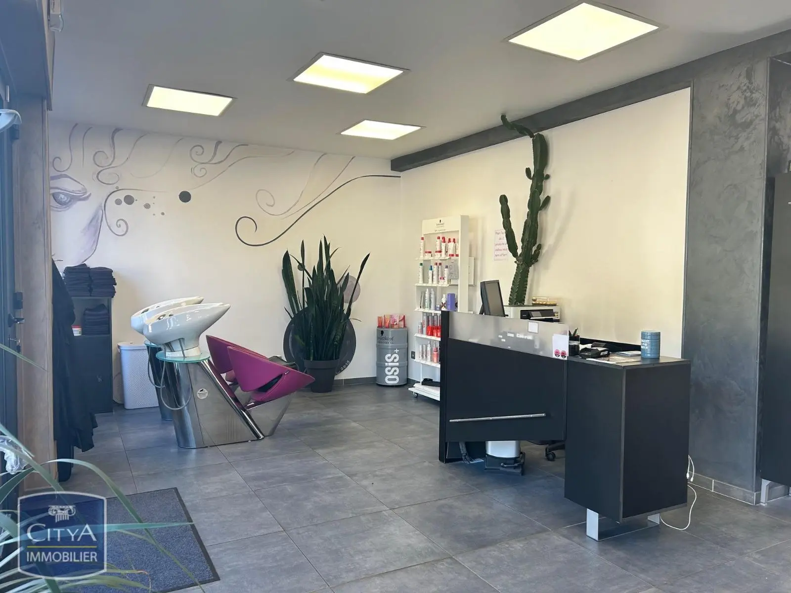 Photo 4 Fonds De Commerce 52m²