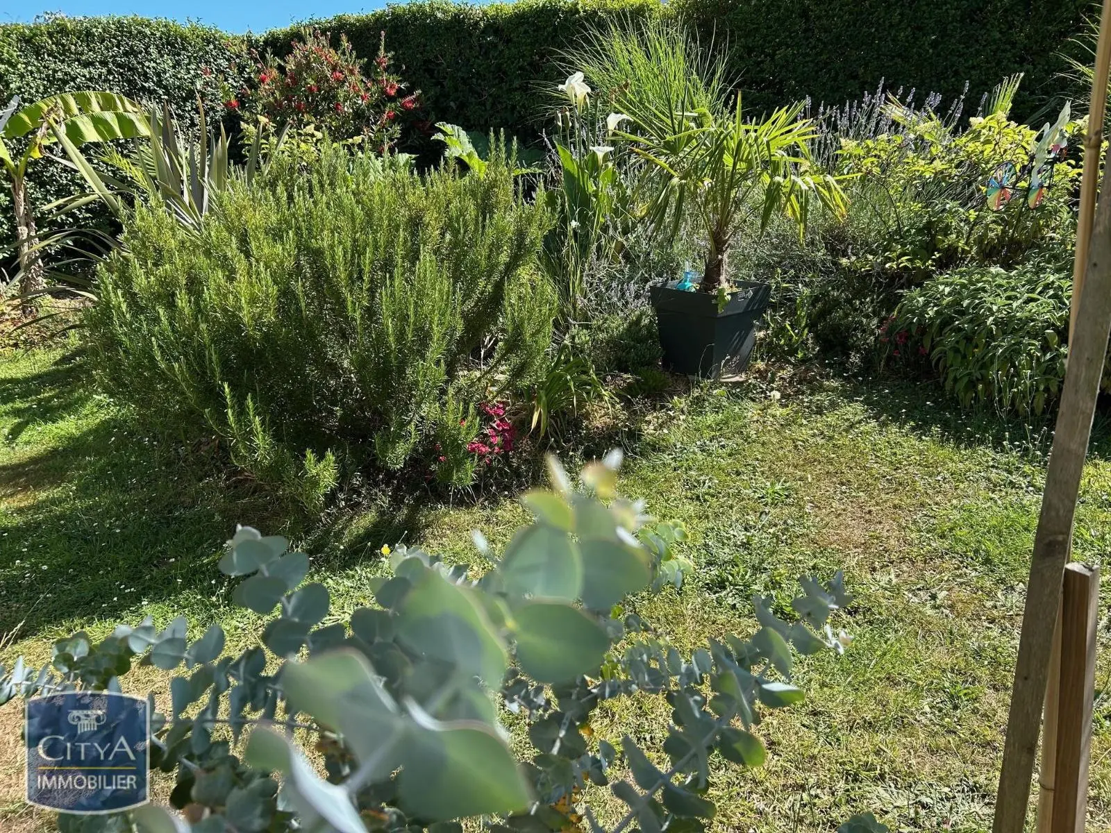 Photo 3 maison Saint-Valery-en-Caux