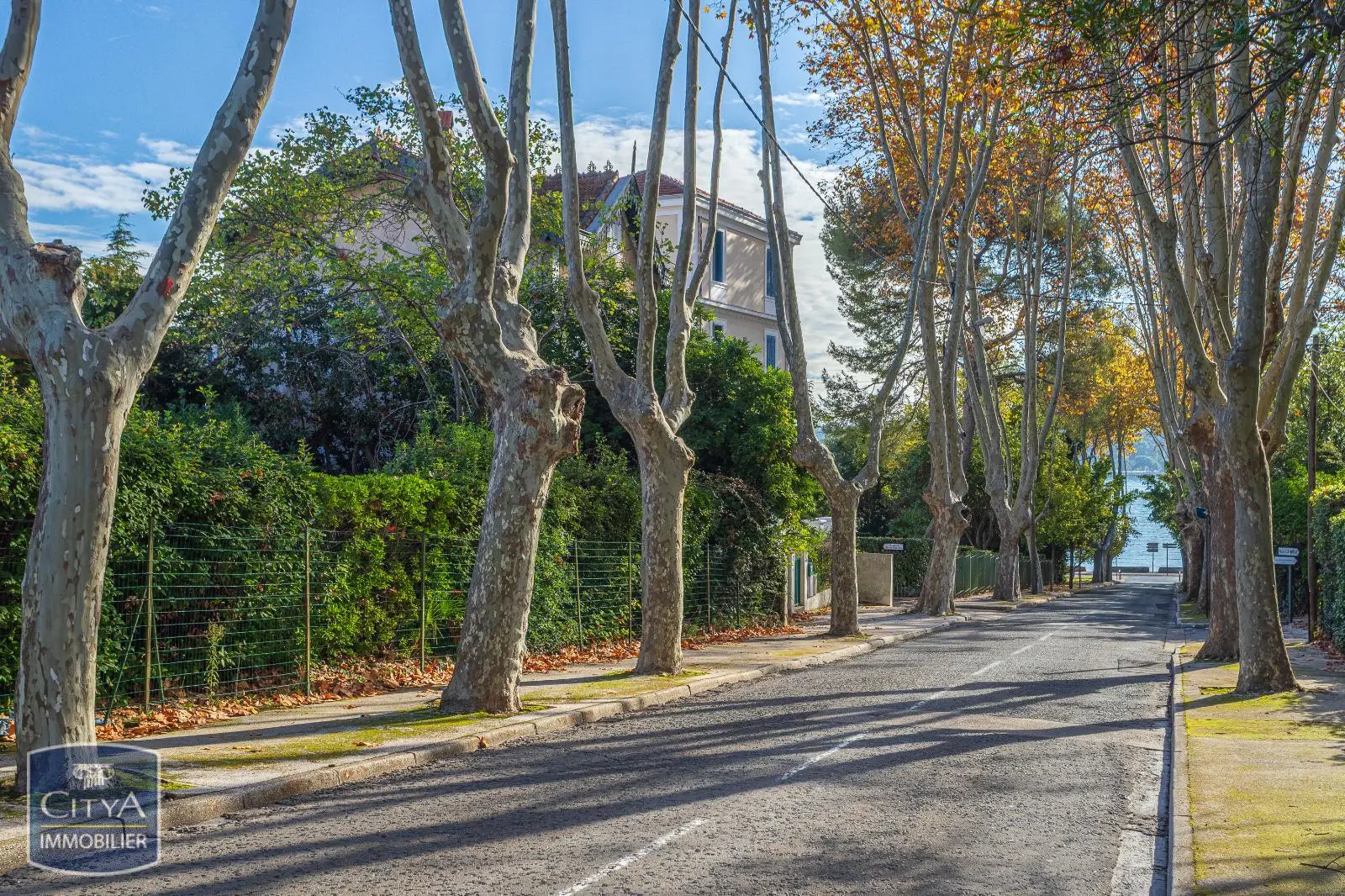 Photo 6 Appartement 3 pièces 45m²