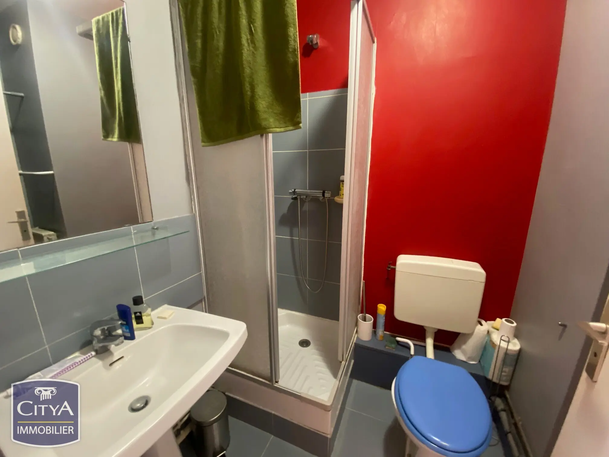 Photo 5 Appartement 1 pièce 25m²