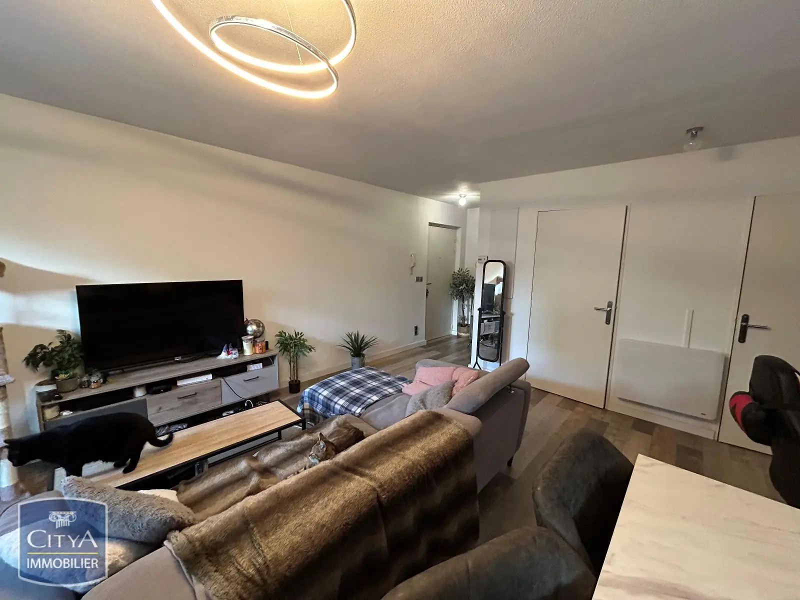 Photo 1 Appartement 2 pièces 47.59m²