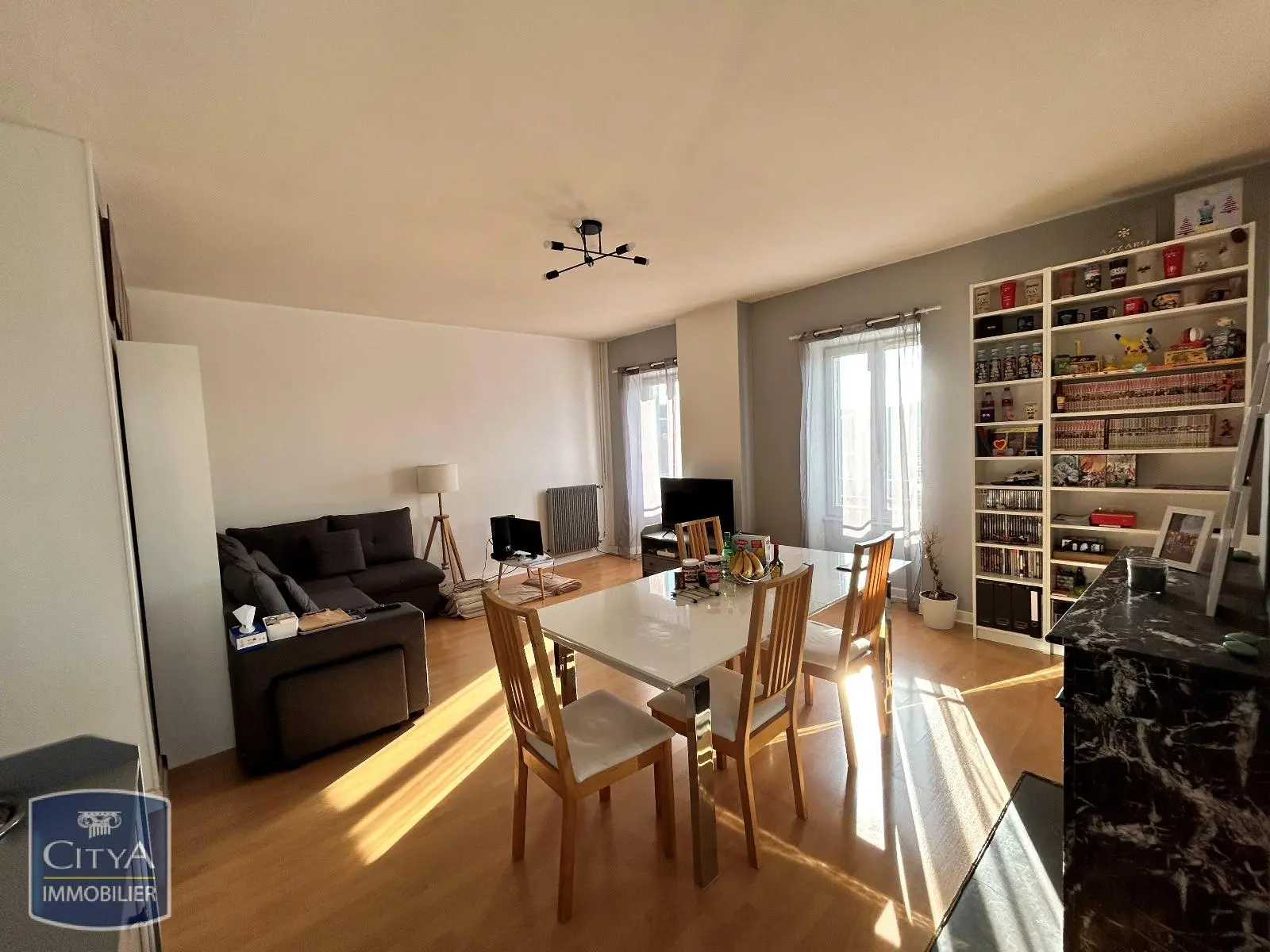 Photo 5 appartement Villefranche-sur-Saône