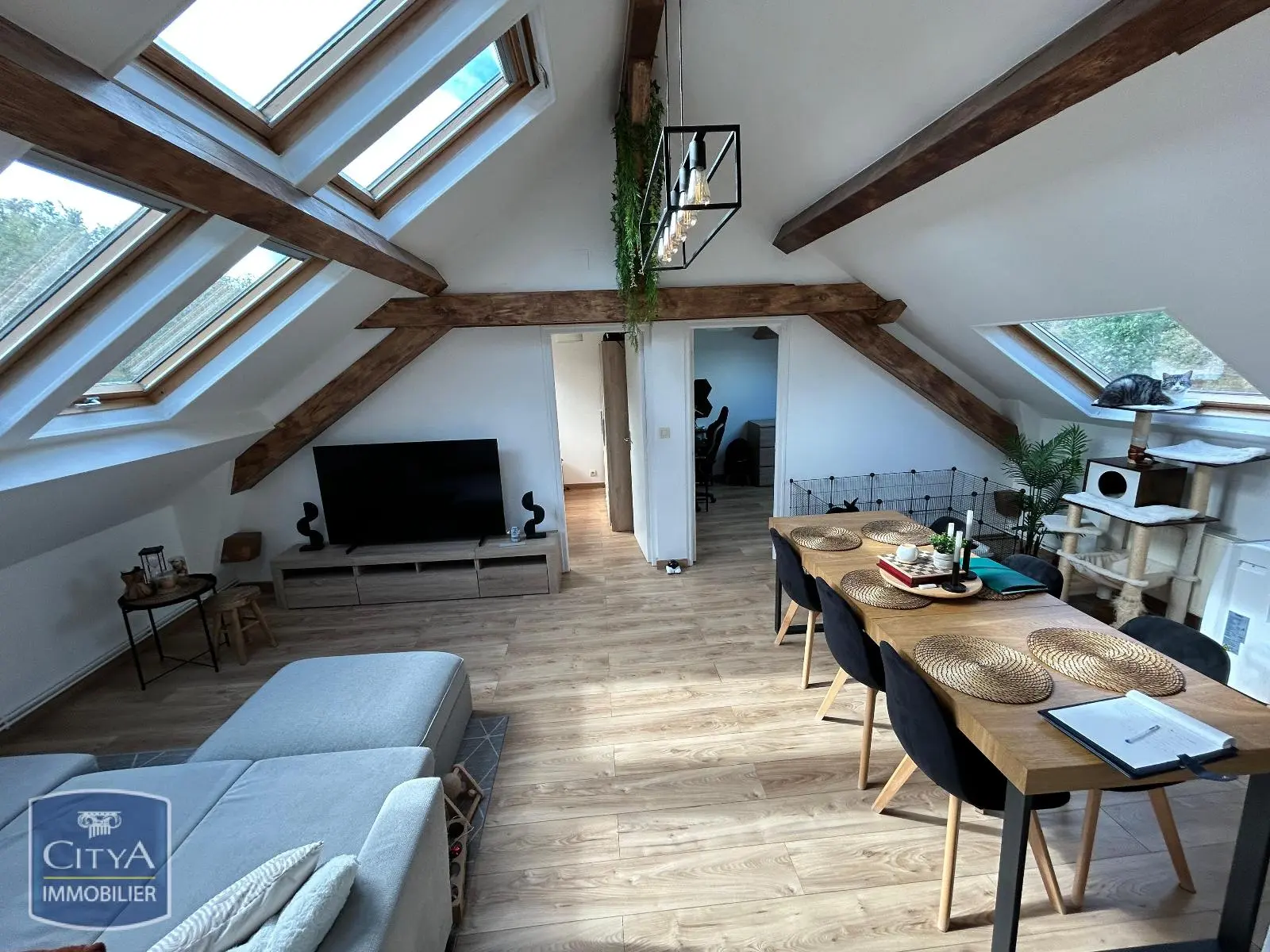 Photo 2 Appartement 1 pièce 51.91m²
