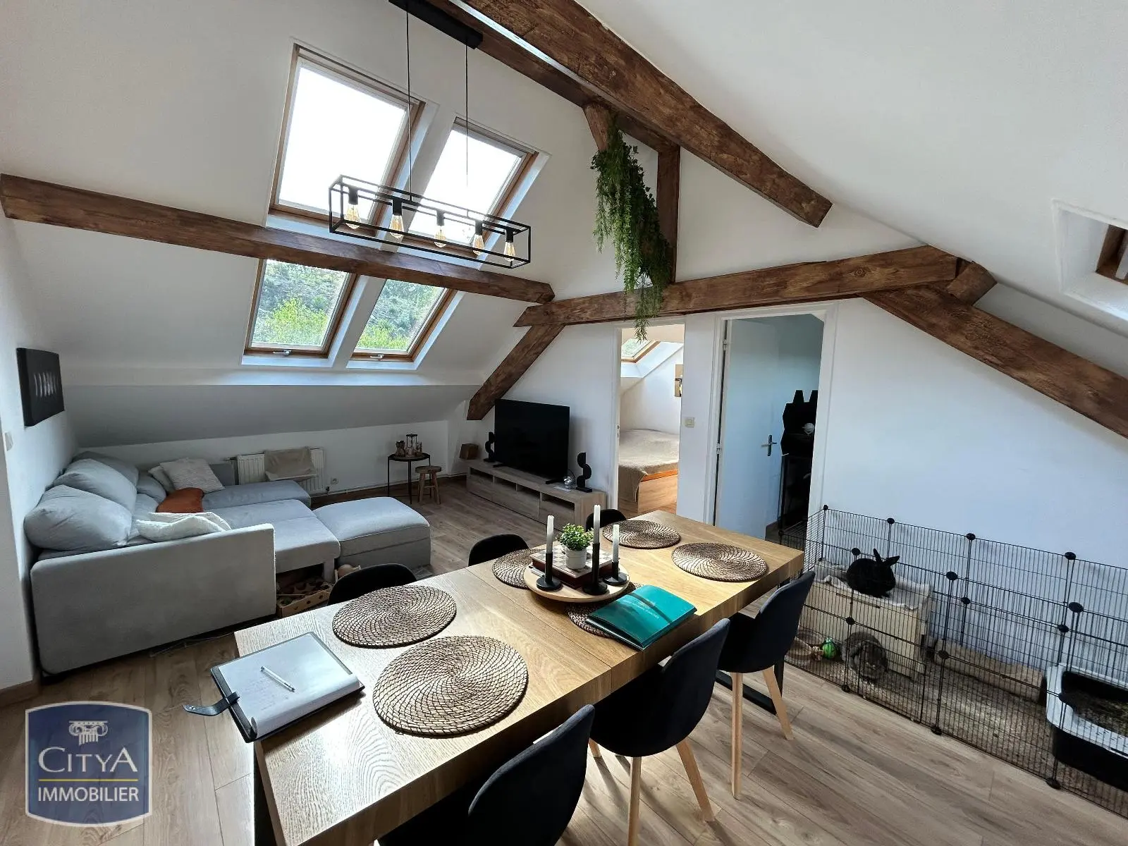 Photo 1 Appartement 1 pièce 51.91m²