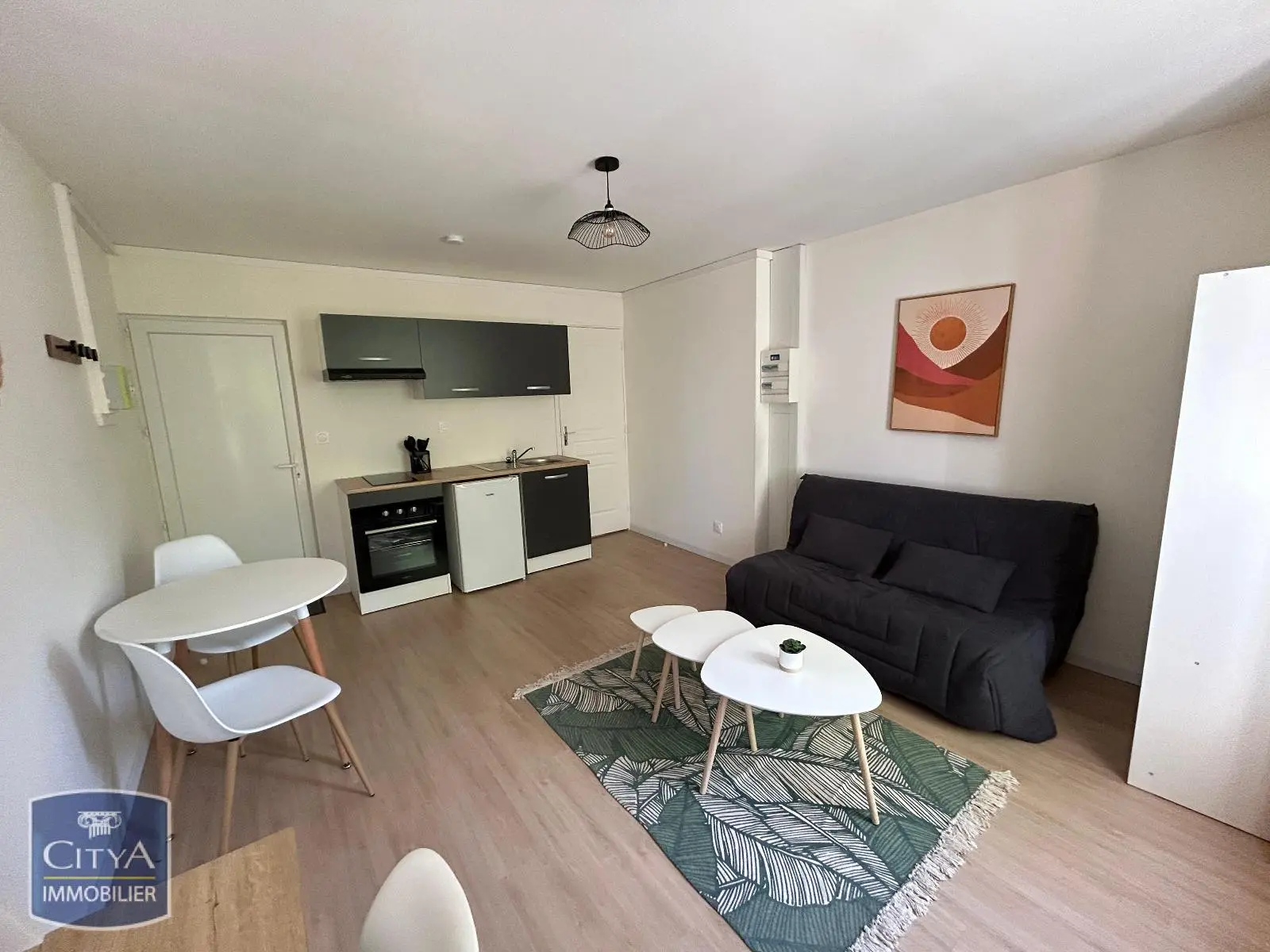 Photo 1 Appartement 1 pièce 19.98m²