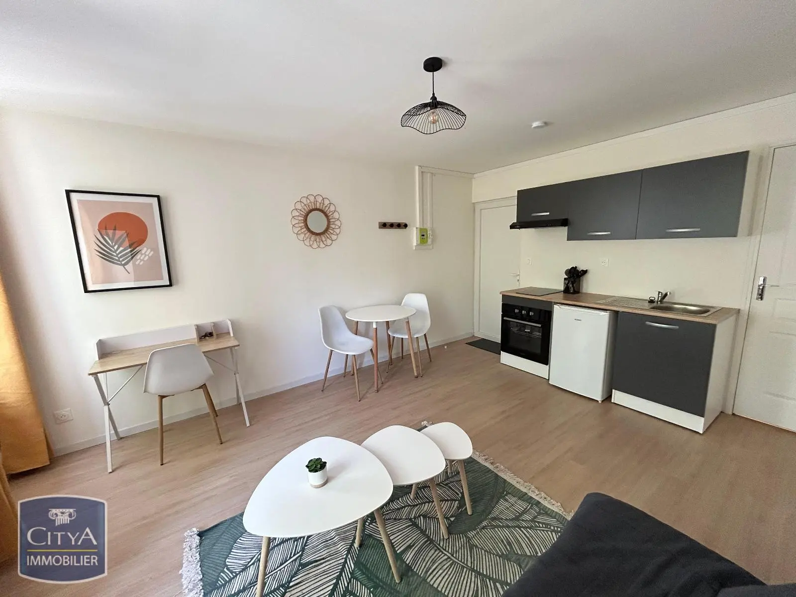 Photo 2 Appartement 1 pièce 18.15m²