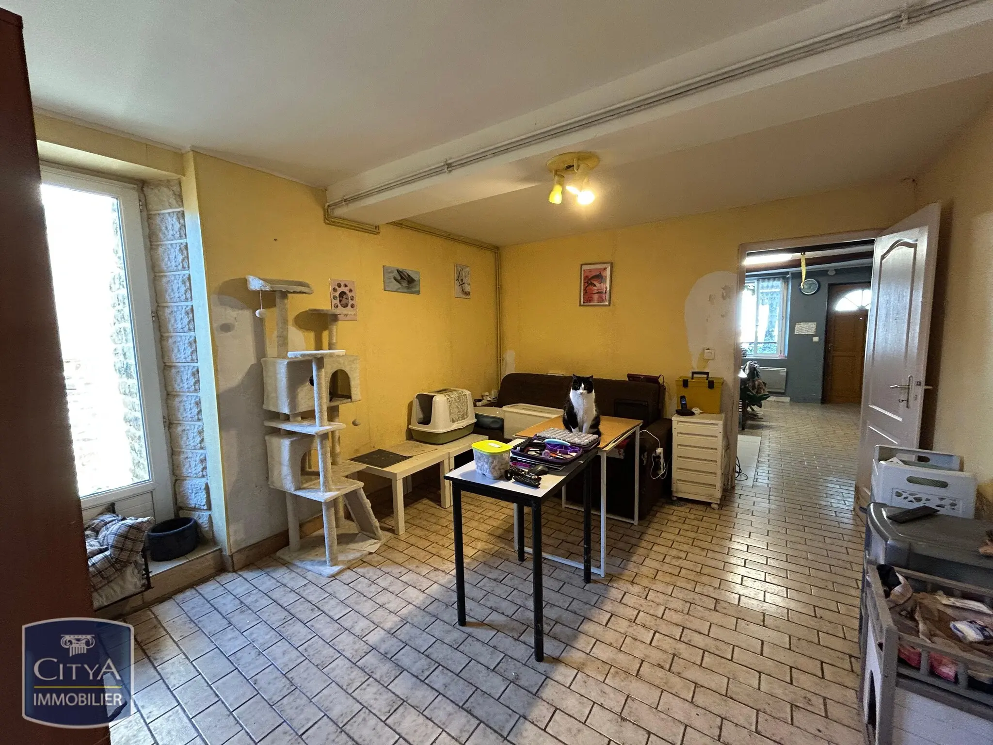 Photo 11 Immeuble 255m²