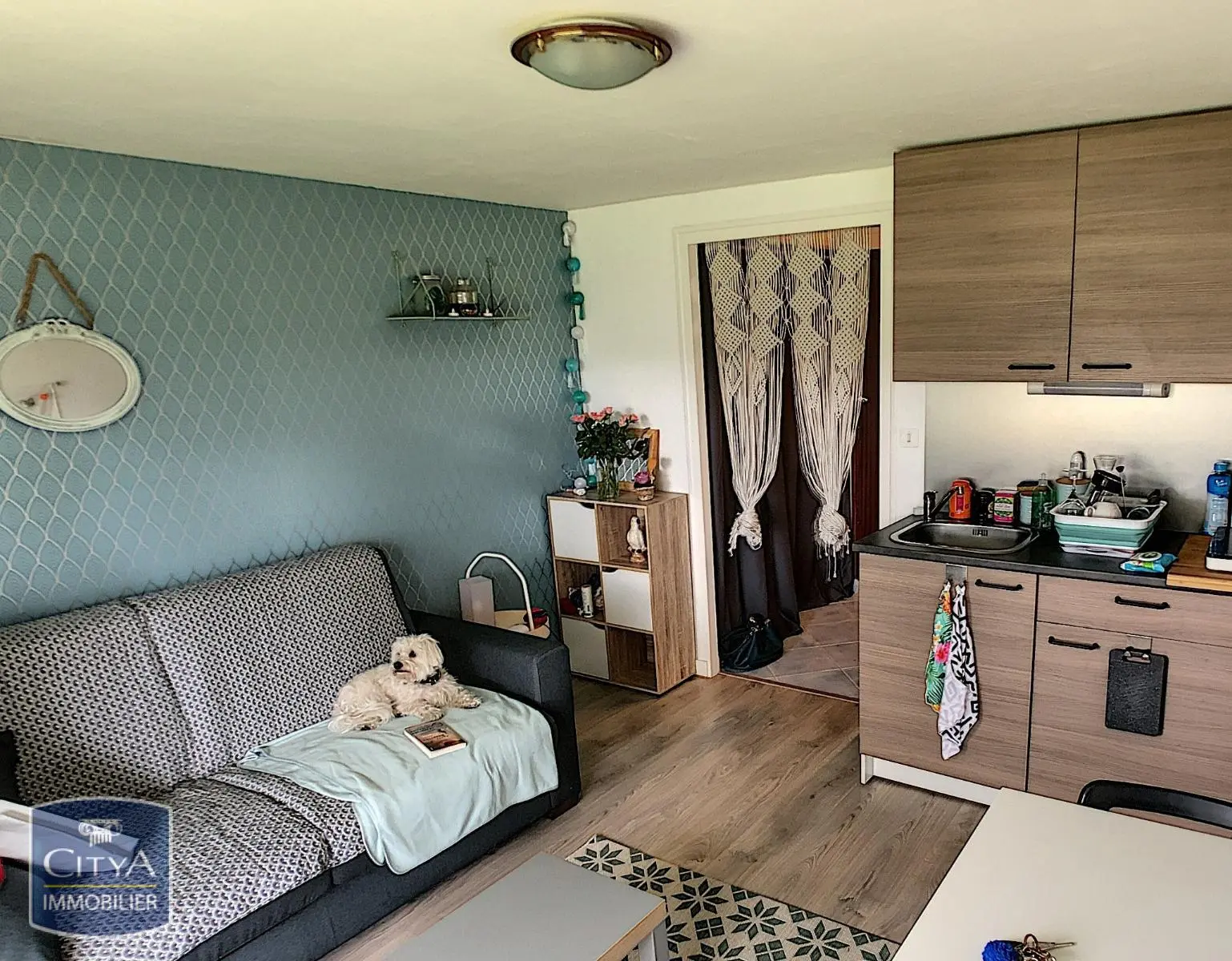 Photo 2 Appartement 1 pièce 17.51m²