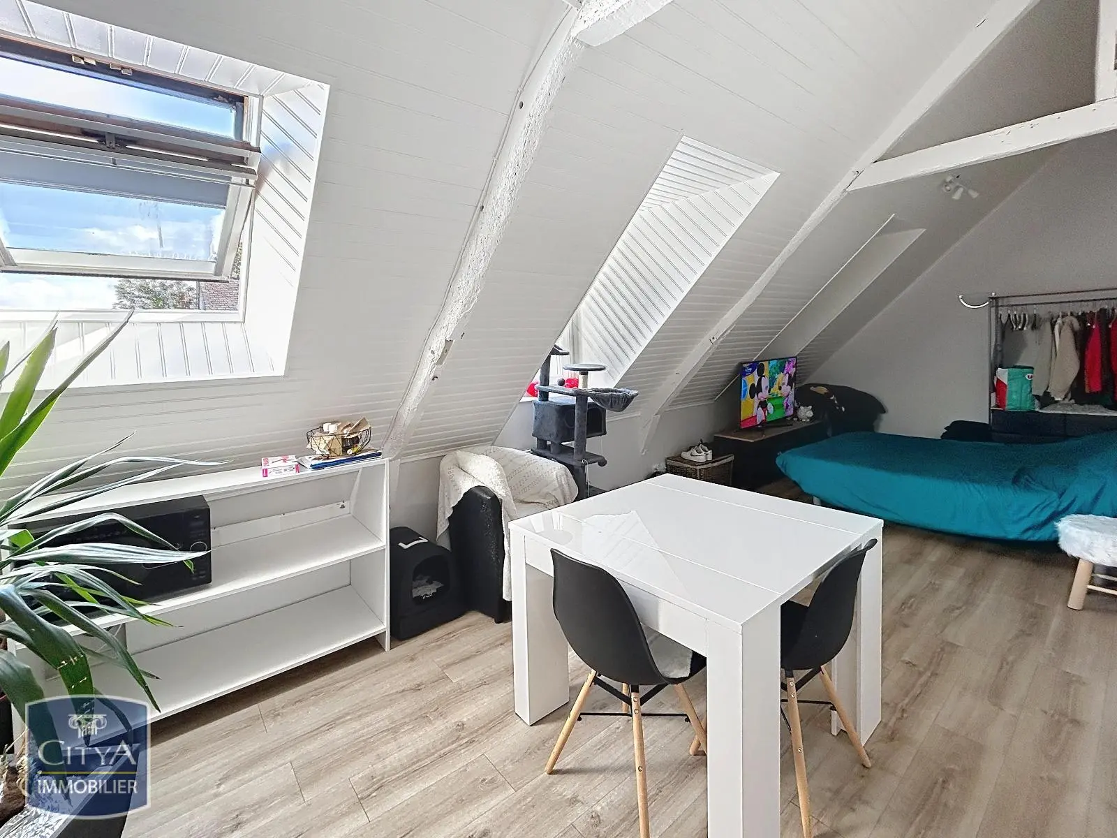 Photo 3 Appartement 1 pièce 20m²